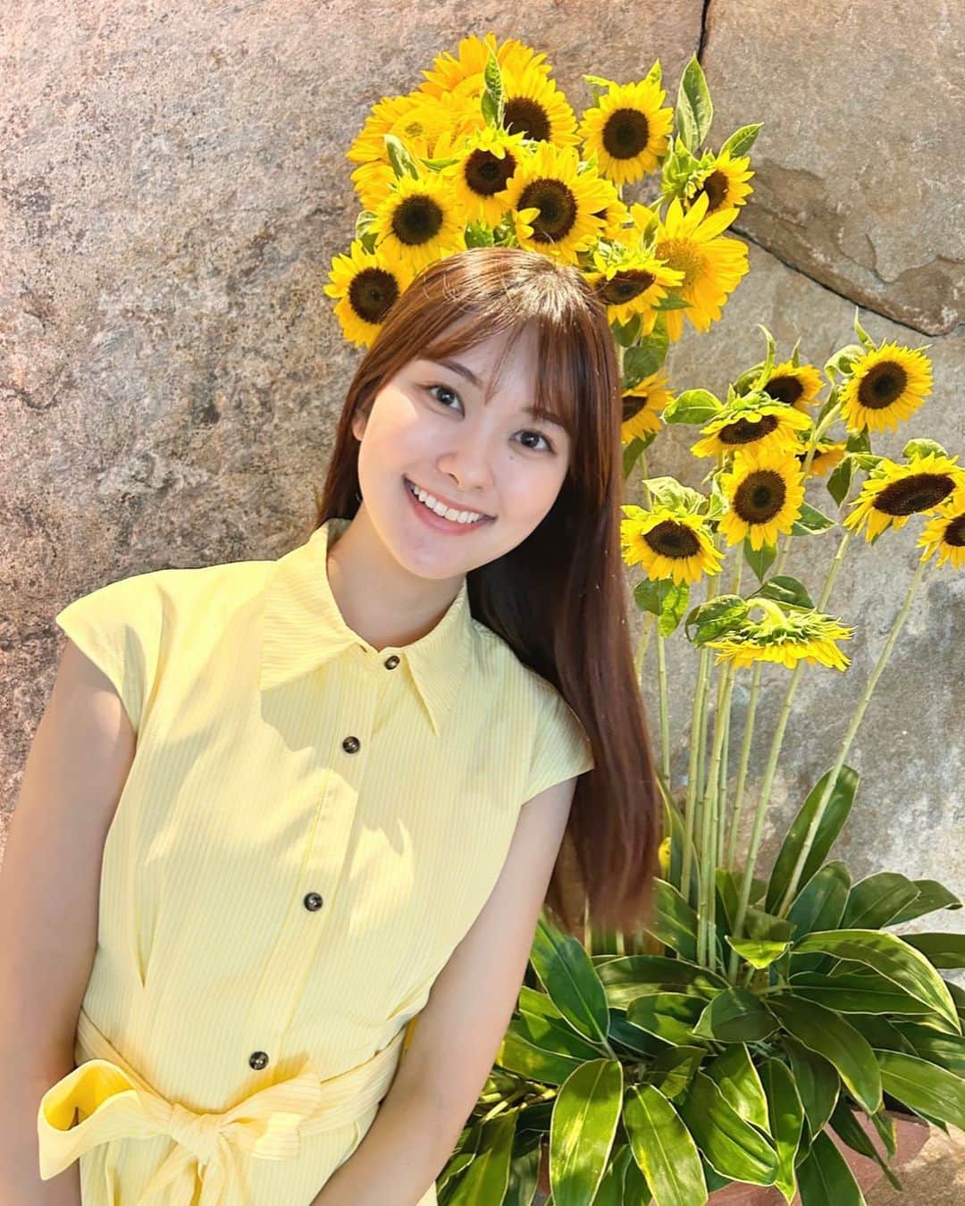 増田紗織さんのインスタグラム写真 - (増田紗織Instagram)「ひまわり🌻✨  #ひまわり #sunflower」9月24日 20時59分 - saorimasuda_official