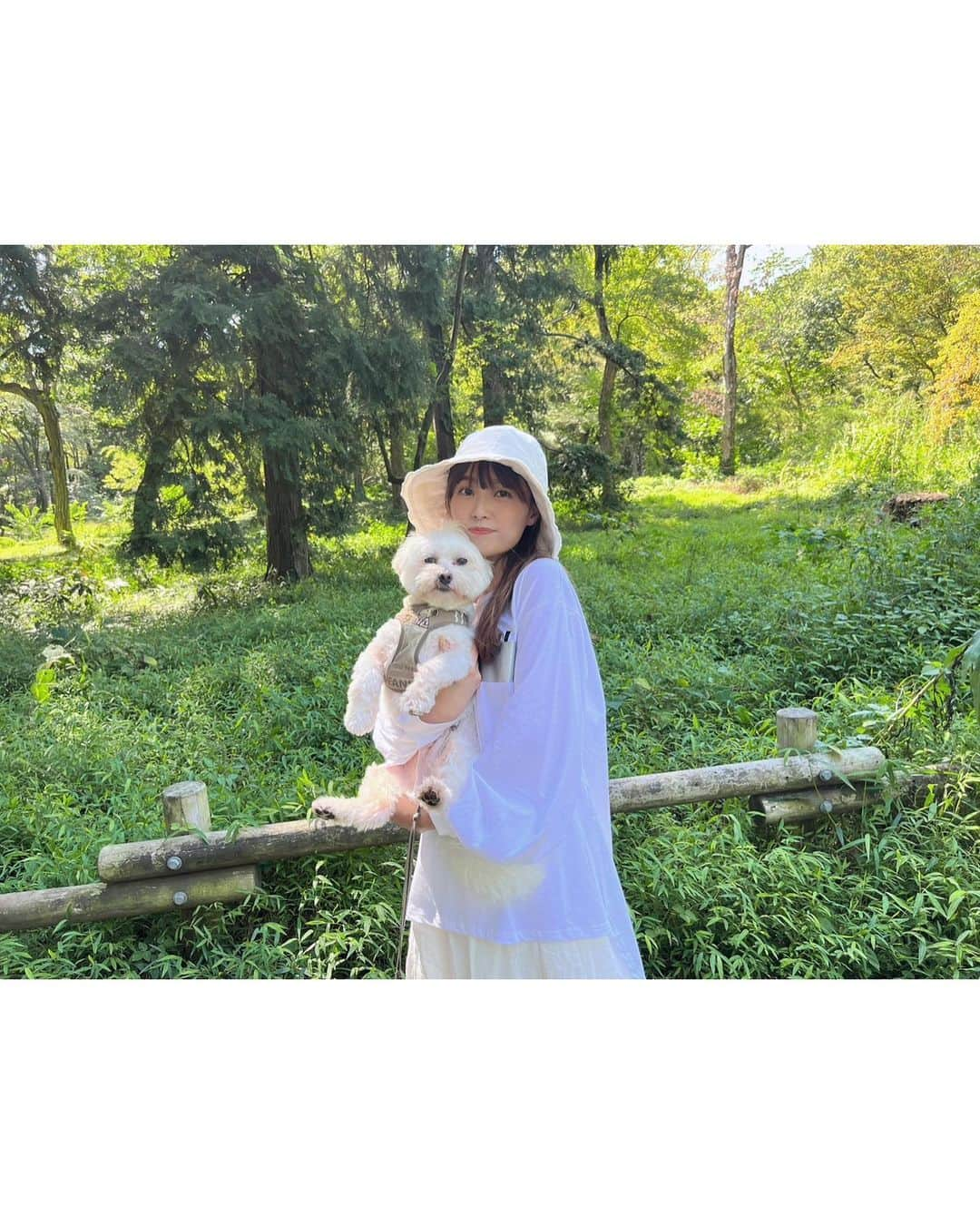 西澤由夏のインスタグラム：「涼しくなってきたので 公園でピクニック🍙  その後23:00からは 「#チャンスの時間 」です！！ きしたかの・高野さんが 結婚をかけた "一大チャレンジ"をします💍✨」