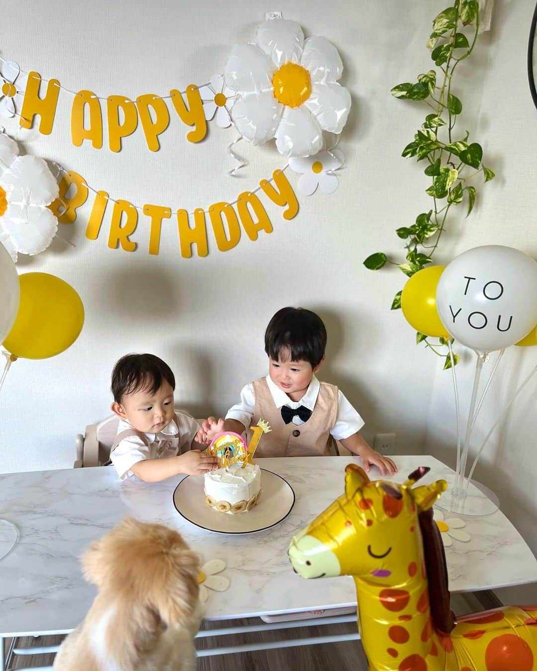 ハミ さんのインスタグラム写真 - (ハミ Instagram)「▽ バースデーケーキは @pigeon_official.jp のキットで🎂  めっちゃ簡単だし1歳頃から食べられるから長男の誕生日もこれで作りました。  ケーキトッパーと装飾は @shein_japan をぽちぽち🤳  2人とも喜んでくれて良かった😆🌈  #birthdaycake#birthday#1歳誕生日#年子兄弟#男の子ベビー」9月24日 21時32分 - hami0519