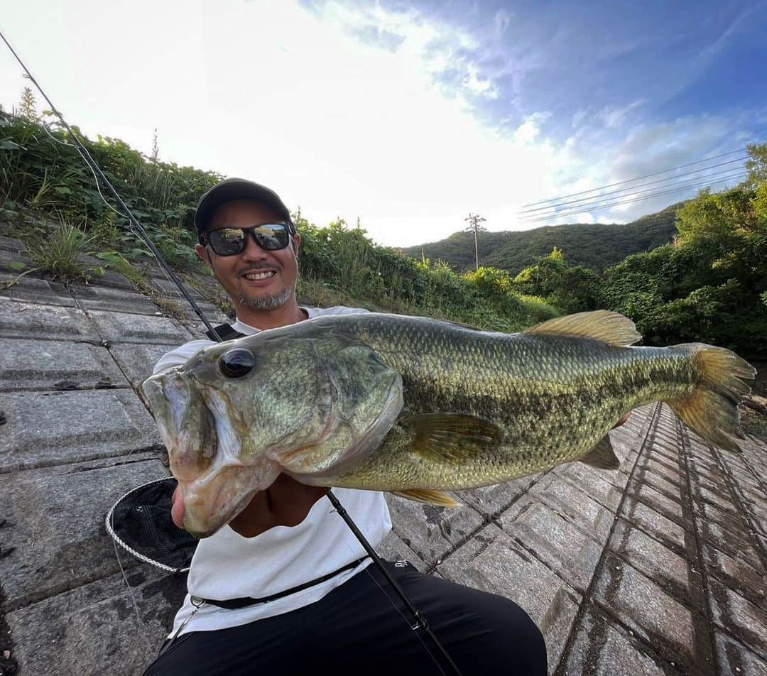 金森隆志のインスタグラム：「ザリガニストだけ持ってため池をラウンド！高水温で茹で上がった中でも3匹のザリ喰いバスが反応してくれました🦞✨この釣り！バイトの出方があまりにエグくてクセになります‼️ バスが本気でザリガニを仕留めに行く時ってこんなに凄いんだ！って感じを体感。手堅い数釣りとは違いますが、ザリ喰いバスには間違いなく効果覿面のルアー🦞‼️ザリが冬眠する水温13℃くらいまではザリガニ現場では楽しめそうです✨」