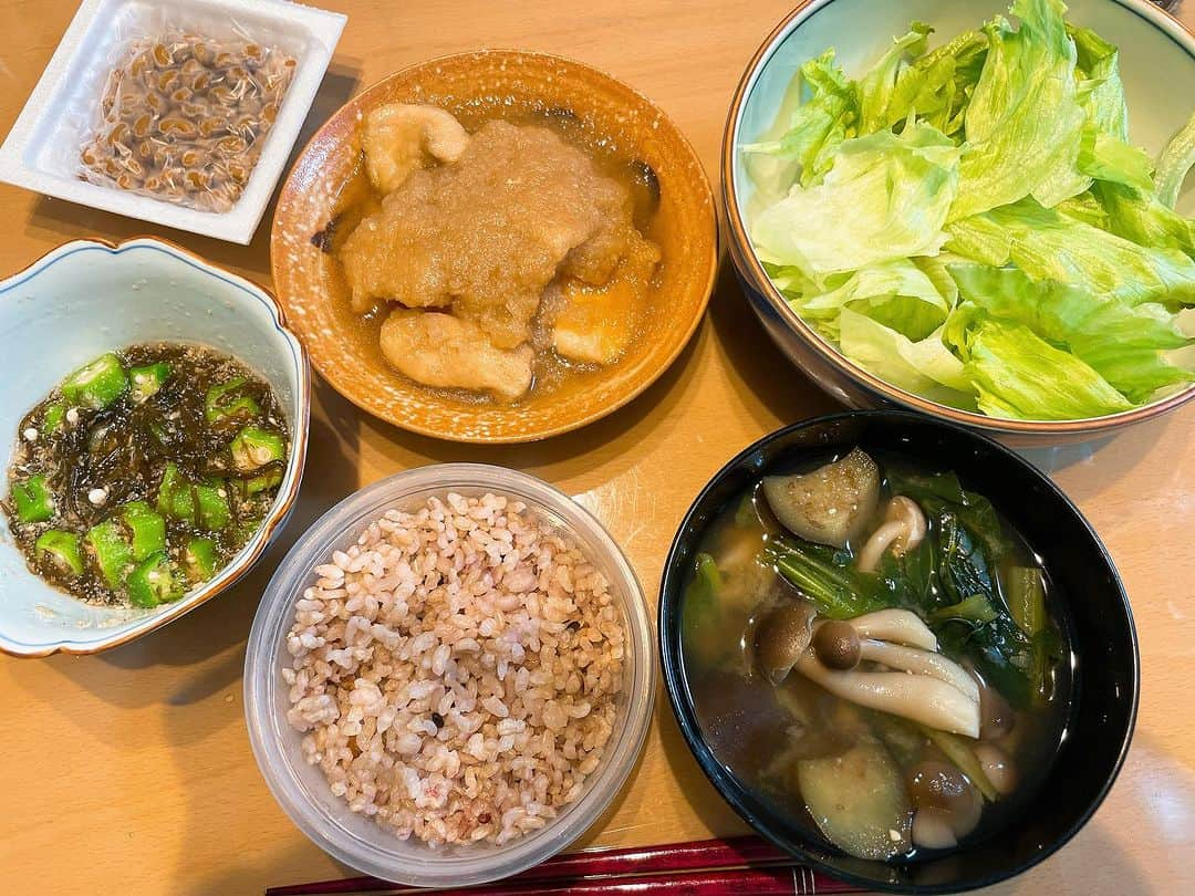 田中亜弥さんのインスタグラム写真 - (田中亜弥Instagram)「【鶏胸肉を柔らかく食べる方法】  既にご存知の方も多いとは思いますが、火を通すとパサつきがちな鶏胸肉は先に片栗粉をまぶしてから調理すると水分が逃げないのでとても柔らかくできます🐔🍖  私は大根おろしを使った鶏胸肉のみぞれ煮や、チキンステーキがとってもお気に入りです❣️  ダイエット中とは思えないほど満足できます🙆‍♀️  ぜひお試しを💛  #鶏胸肉 #鶏胸肉レシピ  #鶏胸肉のみぞれ煮  #鶏胸肉のステーキ #鶏胸肉を柔らかくする方法  #ダイエット #ダイエットレシピ  #筋肉飯  #筋トレ #体づくり  #食べて痩せる  #食べることは生きること  #パーソナルトレーニング  #パーソナルトレーニングジム  #パーソナルジム #女性専用 #女性専用ジム  #女性専用パーソナルジム  #吉祥寺 #吉祥寺駅 #武蔵野市 #キャンペーン実施中」9月24日 21時38分 - tanakaaya81