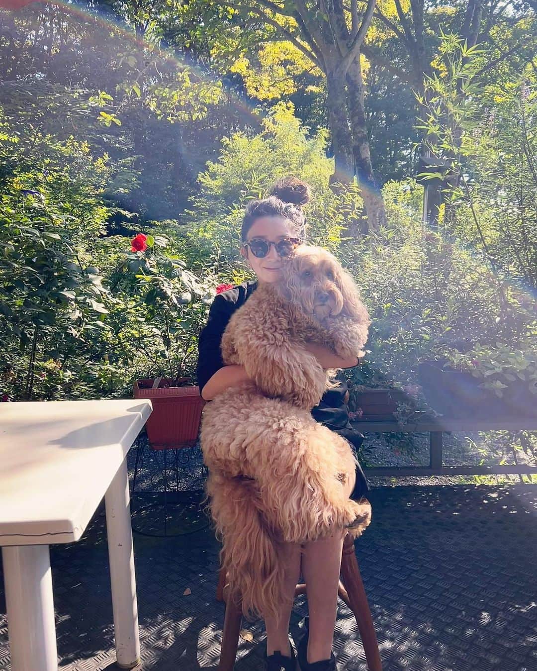 木嶋真優のインスタグラム：「Beautiful Weekend in 蓼科&軽井沢🤎 みんなに見えるからこの子はぽぽではありません🌿 #軽井沢　#karuizawa #trip #japan #weekend #dog #犬 #わんちゃん」