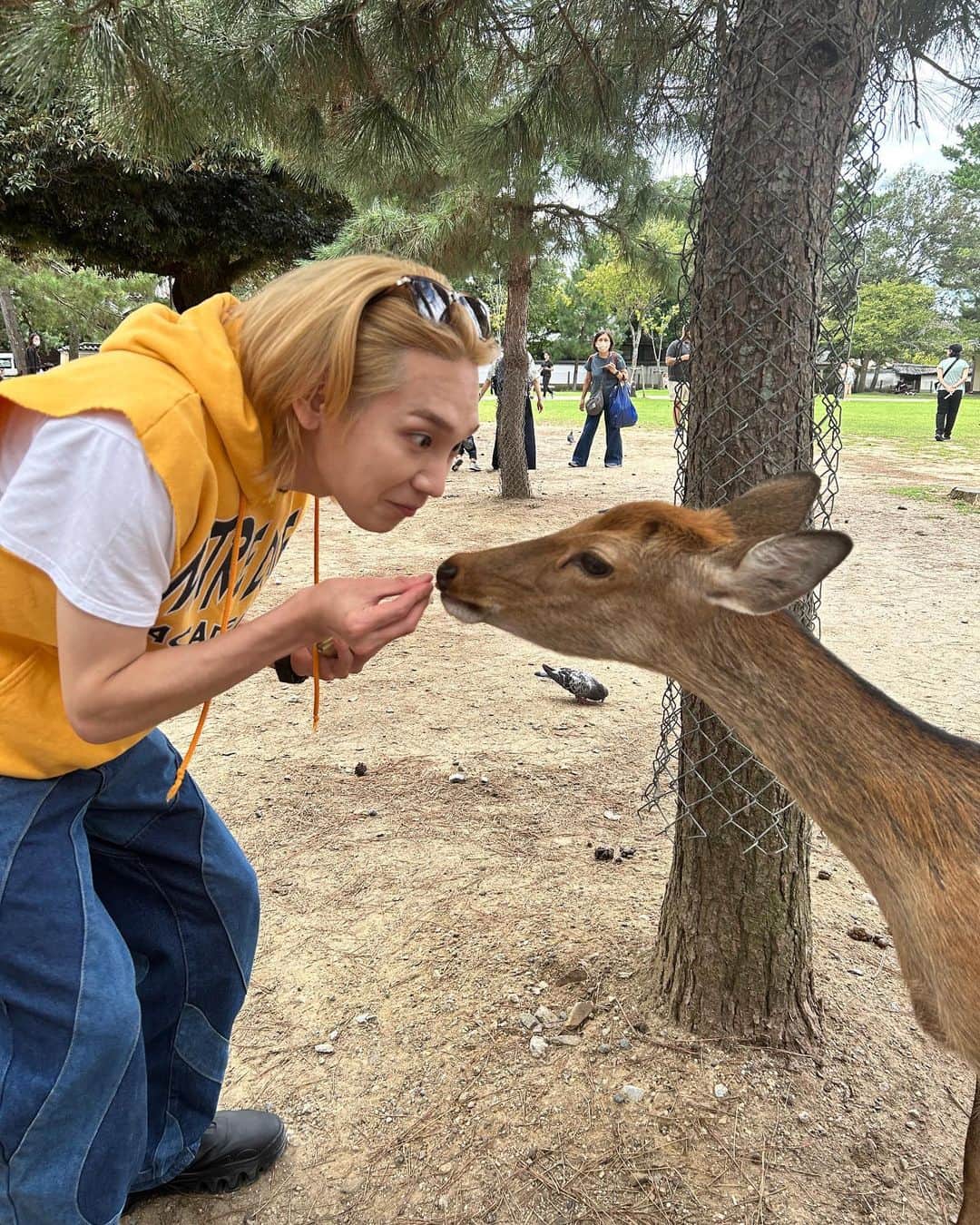 高田健太（KENTA）さんのインスタグラム写真 - (高田健太（KENTA）Instagram)「鹿に意地悪したら鹿の糞ふんだ。」9月24日 21時48分 - rkm0855
