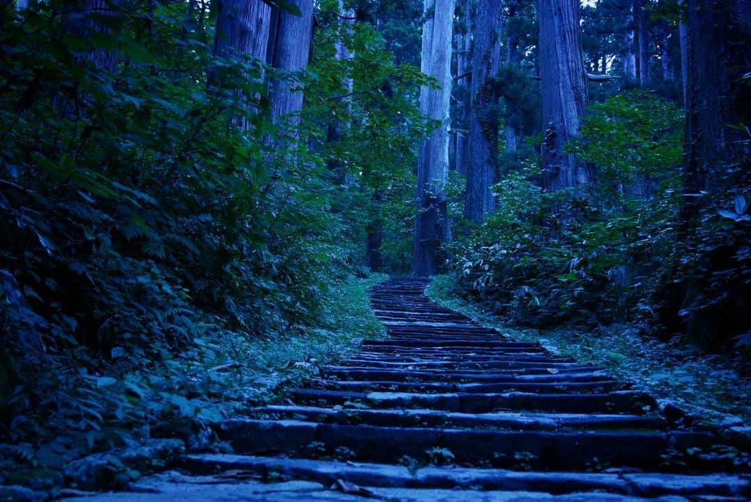 いぶくろ聖志のインスタグラム：「夜明け前  #japan #photography  #camera #日本　#写真　#カメラ　#山形　#羽黒山　#出羽三山」