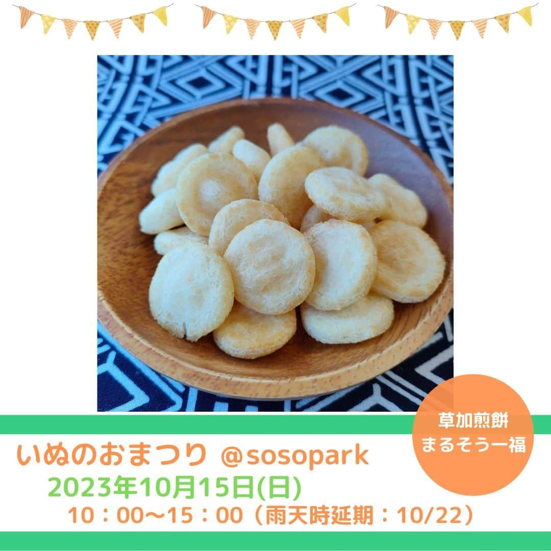 甲斐麻美のインスタグラム：「・ 10/15(日) いぬのおまつり@sosopark  ■出店者紹介  【 人にもワンちゃんにも美味しい草加煎餅です 】  \\ 草加煎餅まるそう一福 // （ @marusou129 ）  埼玉県の美味しいお米にこだわる草加煎餅の老舗です。当店のお煎餅は全て一等級の埼玉県産米100％。赤ちゃん用に作った味付け無しの”こめまる”がいつの間にかワンちゃんにも好評で♪その声に答えて販売する事になりました。お米の旨みを壊さぬよう大切に焼いた無添加草加煎餅をワンちゃんと一緒にいかがですか？  -------------  ※事前予約等は各出店者さんのDMへ 直接お問い合わせください。  ========== ◆出店リスト  ・草加煎餅とわんこ煎餅 草加煎餅まるそう一福 @marusou129 ・わんこのおやつ cafe conversion @cafe__conversion ・犬服、犬雑貨 Sutera1215 @juju20180418 ・手作りごはんとおやつ Popu’s Natural Dog Cafe @popus0624 ・ハンドメイド犬服 M.studio @m.studio_2021 ・パラコードのリード、首輪など カイアオパラコード @kaiao__paracord__ ・お魚のジャーキー いぬのおやつISHIDASHOTEN @inuno.oyatsu ・わんちゃんの記念撮影 くるみんphoto @kurumin_photo ・犬の洋服屋さん D3 daifuku dog design @siro_daifuku ・ペットヒーリング わんわん先生のペットヒーリング @kisozima ・譲渡会＆チャリティ物販 保護カフェPETS @hogocafe.pets  ・ワンコのおやつ＆ごはん＆グッズ いぬとわたしteam @inuto_watashi ①KAMIKAMI DAUCHO @kamikamidaucho ②六分儀 @dogquiche_sweets_rokubungi ③chicori @chicori_dogs ④coco crochet @coco_.crochet ⑤Hug moku @hug_moku   ≪常設店舗≫ ・うどんスタンド ユルリ @yururi_reiko ・シュウマイと焼き鳥/つつみ家 なすび ≪キッチンカー≫ ・和魚ごはん フードトラック ナカザワ @foodtrucknakazawa  各店舗の紹介は、順次掲載していきます。 どうぞお楽しみに ♪  ========= いぬのおまつり ========= 日時：10月15日(日)10:00～15:00 ※雨天延期：翌週日曜（10/22） 場所：sosopark @sosopark.jp 草加駅東口から徒歩3分 埼玉りそな銀行草加支店向かい  #いぬのおまつり #いぬとわたし #sosopark #犬イベント #いぬのいる暮らし #犬好きさんと繋がりたい #草加 #埼玉 #わんこ煎餅 #草加煎餅」