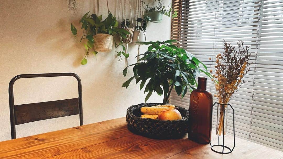 さんのインスタグラム写真 - (Instagram)「好きなものに囲まれた生活。どの角度から見ても素敵だなあって思えるから、部屋にいるだけで幸せな気持ちになれる。  #伊東市 #伊東の暮らし #わたしといとうと #観葉植物のある暮らし #インテリア #インテリア好き #アンティーク好き  #ito #izu #interior」9月25日 8時20分 - fujimoriai
