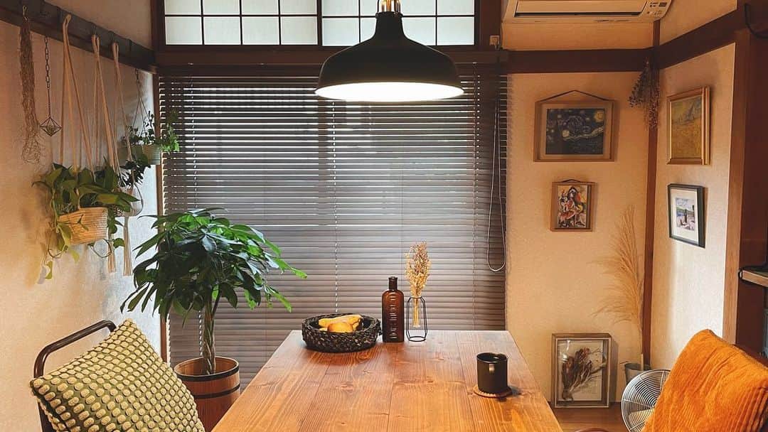 のインスタグラム：「好きなものに囲まれた生活。どの角度から見ても素敵だなあって思えるから、部屋にいるだけで幸せな気持ちになれる。  #伊東市 #伊東の暮らし #わたしといとうと #観葉植物のある暮らし #インテリア #インテリア好き #アンティーク好き  #ito #izu #interior」