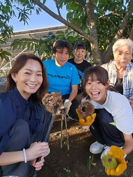 佐藤純のインスタグラム：「二日連チャンでお友達のお庭で栗拾いさせてもらったよ🌰  昨日は、息子を連れて。  今日は、娘とあーちゃんも一緒に。(息子は部活🏑)  栗拾い楽しすぎる‼️  クロさんとは15才からのお付き合いで、私がパン屋さんでアルバイトをしていた頃の先輩。  子供達も産まれた頃からずっと遊んでもらってるからお友達と言うより、子供達にしてみたらお父さんお母さんのような存在。  栗拾いの後は、一休だんご(私の大好きなおかき)のお団子を買ってきてくれて休憩🍡🍵  今日も、渋皮煮を作ってくれてた😋  クロさんの作る渋皮煮が大好き❤️  クロさん、ヒロさん、二日連チャンでありがとう🙌  #栗拾い #栗 #一休だんご #ママ #ママモデル #モデル #mama #mamamodel #model」