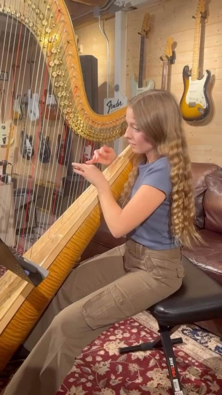 ブランディメルビルのインスタグラム：「#brandyusa @ginger_rose.harpist」
