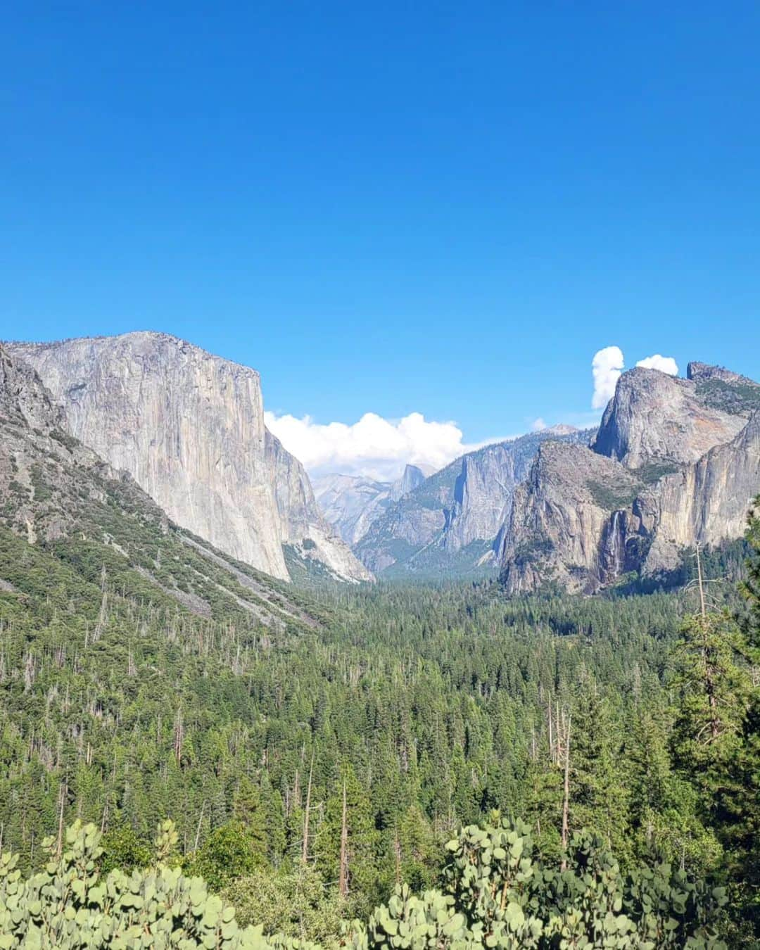 メッテ・グラスゴワールさんのインスタグラム写真 - (メッテ・グラスゴワールInstagram)「Beutiful Yosemite National Park! • Vi hikede blandt andet Half dome trail. 26-27km og 1800 højdemeter er ingen joke.. Men det hele værd!」9月25日 1時36分 - mette_graversgaard