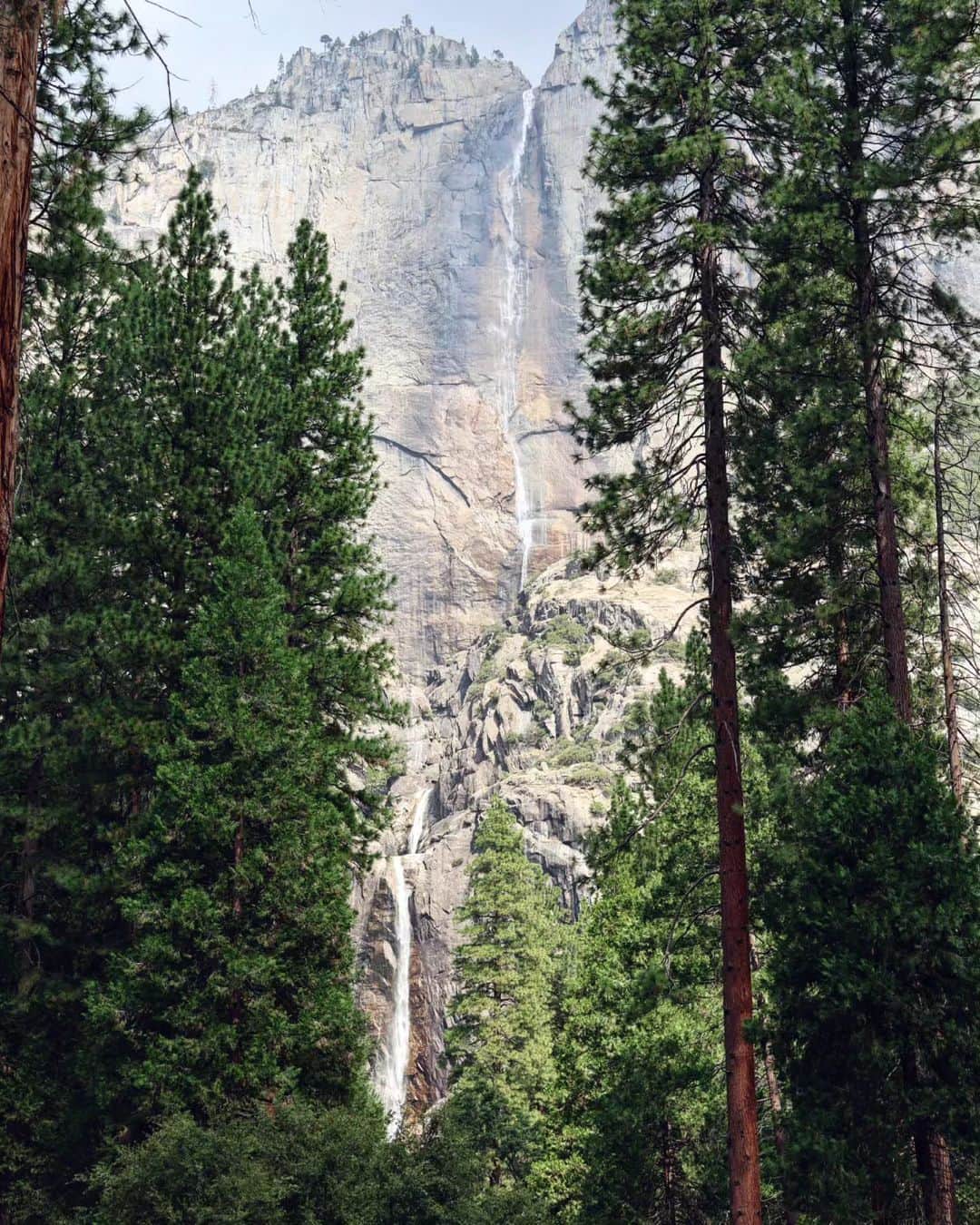 メッテ・グラスゴワールさんのインスタグラム写真 - (メッテ・グラスゴワールInstagram)「Beutiful Yosemite National Park! • Vi hikede blandt andet Half dome trail. 26-27km og 1800 højdemeter er ingen joke.. Men det hele værd!」9月25日 1時36分 - mette_graversgaard