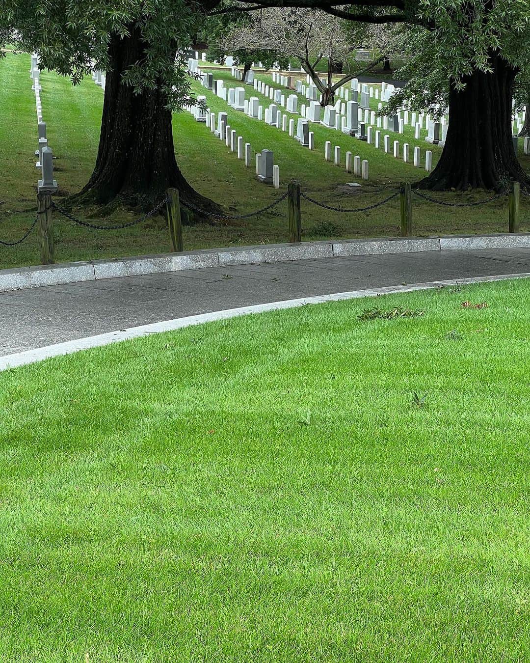 ヨネスケさんのインスタグラム写真 - (ヨネスケInstagram)「アーリントン墓地のJFケネディ、ジャクリーヌ婦人のお墓。 ホワイトハウスのまで記念撮影」9月25日 4時30分 - yonesuke5656