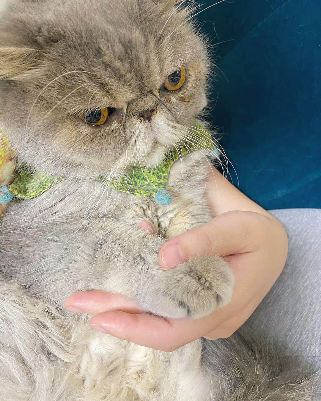 and myuのインスタグラム