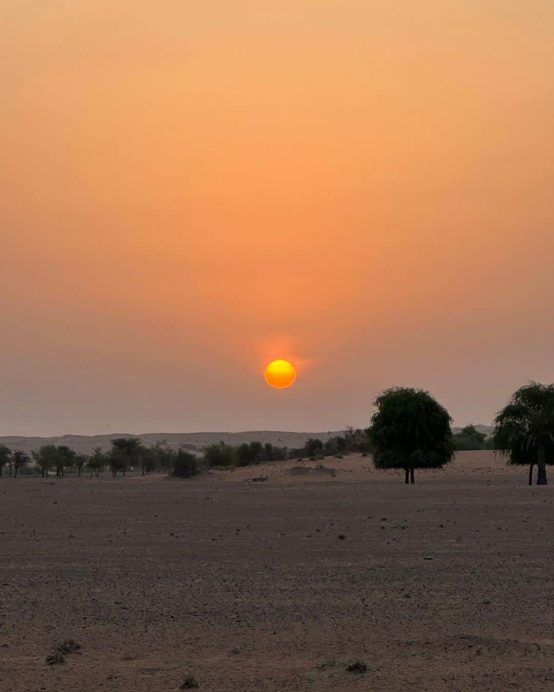 エイヨシャ・カレーさんのインスタグラム写真 - (エイヨシャ・カレーInstagram)「🐪x 🌅」9月25日 5時31分 - ayeshacurry