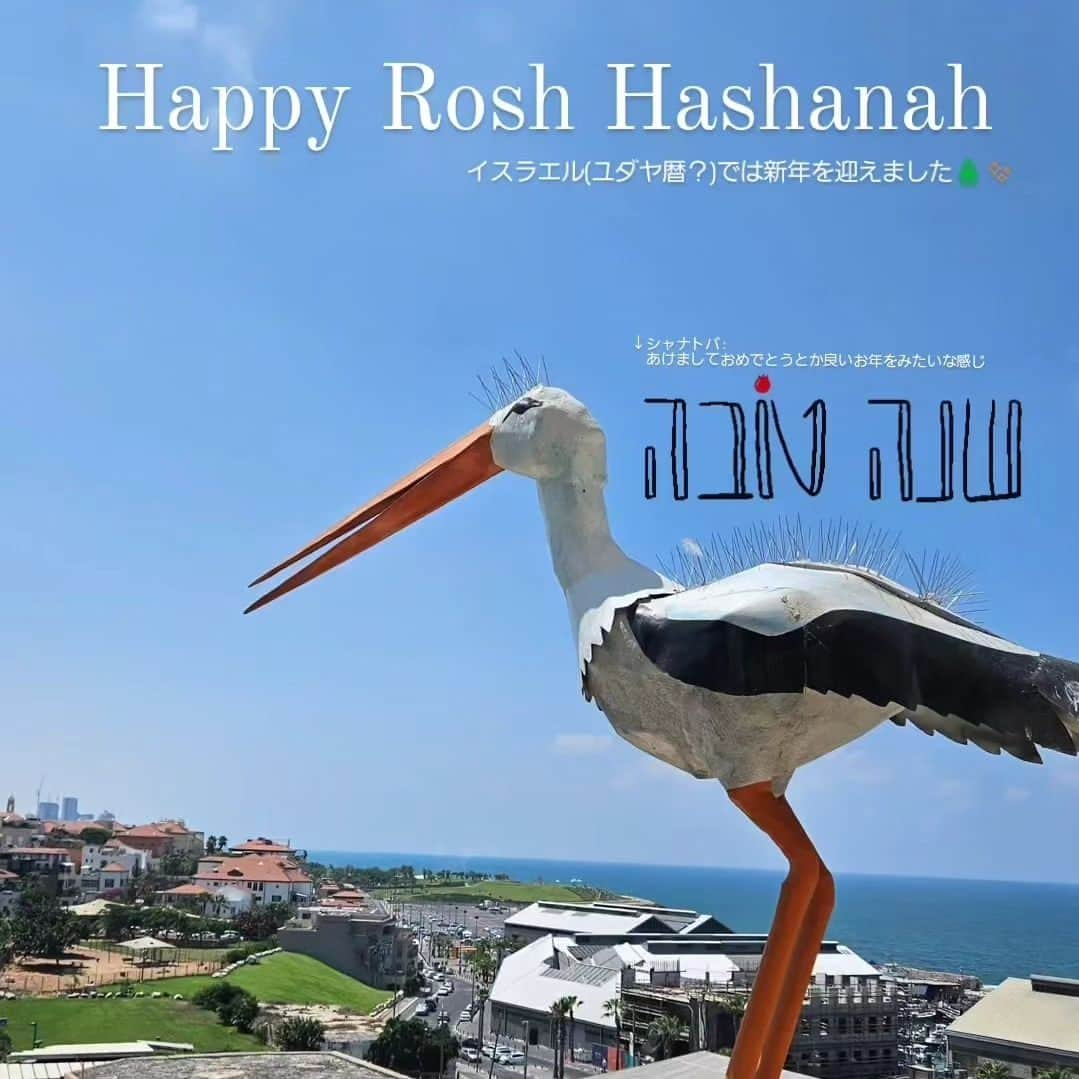 井上琴絵さんのインスタグラム写真 - (井上琴絵Instagram)「🇮🇱  Rosh Hashanah 　ロシュハシャナ　(新年祭) イスラエルでは先週の15日(金)日没～16日(土)日没で、新年を迎えました。  前日のフレンドリーマッチ後に、相手チームと一緒にリンゴに蜂蜜かけて食べてて、なんでかなー？て思ってたら、新年を祝うときに食べるそうで「シャナトバ　ベメトカ(新年が甘くなりますように)」素晴らしい一年になりますようにという意味が込められているようです。  そして今日24日(日)日没～25日(月)日没で、Yom Kippur　ヨム・キプル　(贖罪の日)を迎えています。この日没～、一切の労働を禁じられてるから、自分が働くのはもちろん、車もダメ、電気も使っちゃダメ、携帯もダメ、、、とか。そして、女の子は12歳以上男の子は13歳以上は断食で、入浴や洗濯もダメとかいろんな決まりがあるみたい。  夜はみんな歩いたり、自転車乗ったりしてるよーって話を聞いたから、ドミと一緒に散歩へ🚶✨歩行者天国になってるから、老若男女たくさんの人が通りに出てました。特に子どもは大はしゃぎで、乗り物乗り回してるし、可愛かったんやけど不思議な光景でした。  で、電気使ったらあかんはずやのに、全然使ってるし、あれ？ってなったけど。この国はユダヤ教以外にも、キリスト教やイスラム教などもいるし、いろんな国の人がいるから守ってたり守ってなかったりなんだとか。  結局1時間歩いてきました🤭笑  こんな感じで、日本じゃ感じることのできない、ここでの文化に触れながら生活してるのも自分の記録としてちょこちょこ残していきたいなー☺っていうのと、日本にいるとイスラエルの印象ってテレビとかからの情報しかないから、ネガティブな印象が強いけど、実際はそんなことないよー良いとこあるよーっていうのも載せていきたいなーなんて思ってます🫶  #イスラエル#イスラエル生活#ユダヤ教#ロシュハシャナ#ヨムキプル #イスラエル文化#海外生活#興味深い国イスラエル#ユダヤ暦#5784年#Israel#Israellife#roshhashanaj#yomkippur#🇮🇱🇯🇵」9月25日 6時15分 - kotoe.i15