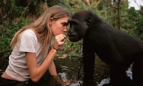 IMG Modelsのインスタグラム：「#WorldGorillaDay. 🦍 @freyaaspinall lensed by #HugoComte x @theaspinallfoundation. 🌎#IMGmodels」