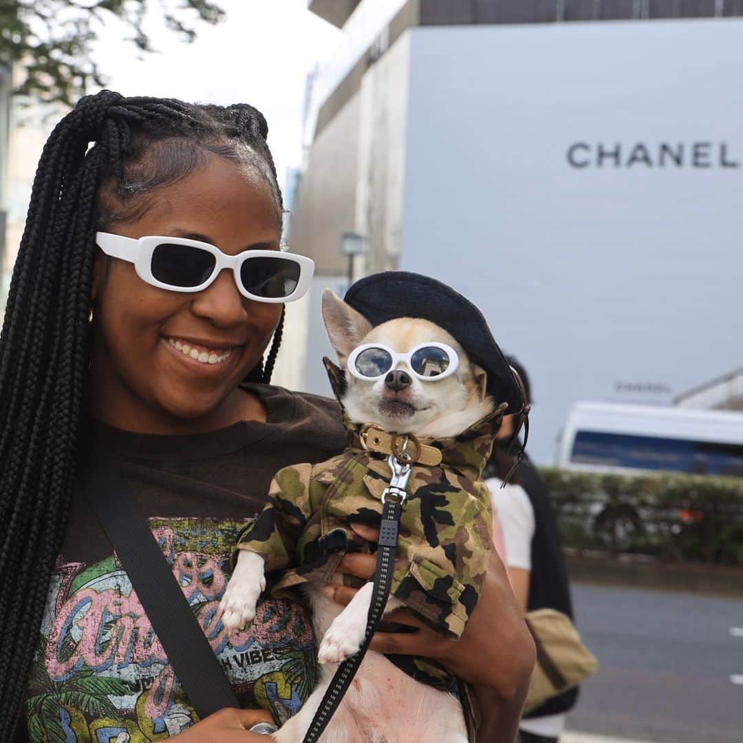 のインスタグラム：「おそろ😊@ik.shanshan  今日も頑張っていきましょ #dog#dogstagram#instadog#chihuahua#barkbox#mydogiscutest#buzzfeed#dog_features#fluffypack#barkpack#dogsofinstagram#犬#チワワ#手作り#handmade#着物#fashion#紋次郎一家#チーム茶#ふわもこ部#igersjp#peco犬部#dogfashion #whisky」