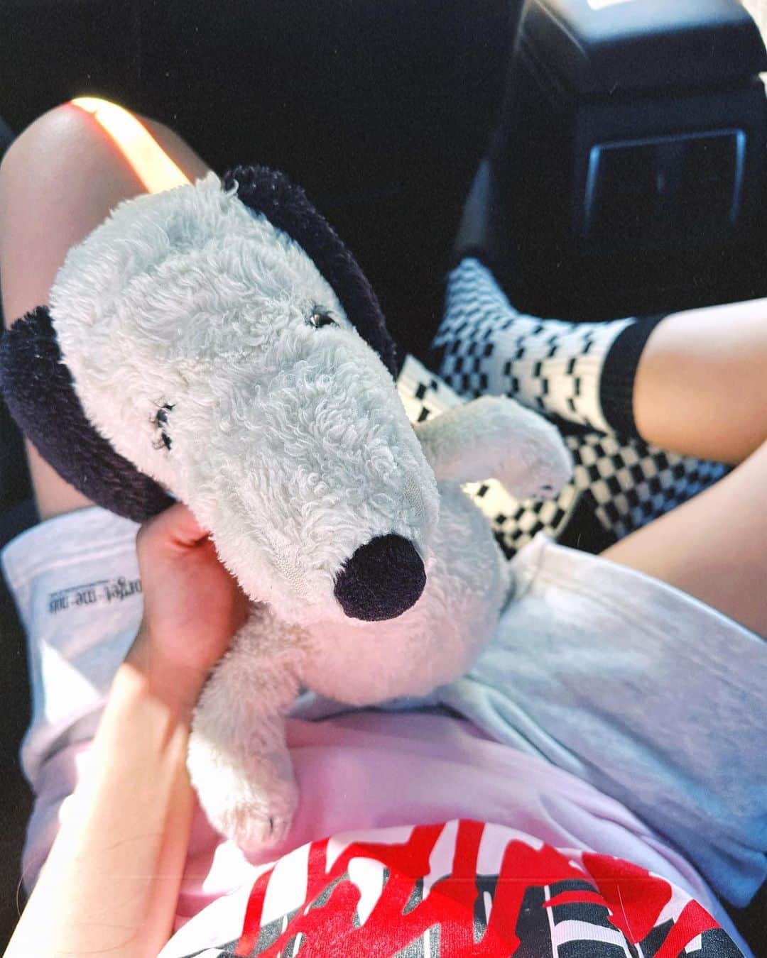のインスタグラム：「ちょっと前にね ベルちゃん、おばあちゃんちに連れて行ったら 即席で手編みのマフラー作って巻いてくれたの♡(3枚目) 一才の頃から一緒だから、31才のべる。 最近洗えてなくてちょっとグレー気味🤨 ごめんよべる！ センシティブすぎて洗うの勇気いるの！  さてわたくしは 声の調子がわるくて今日もずっとお家に籠ってます😔 早く治りますように。」