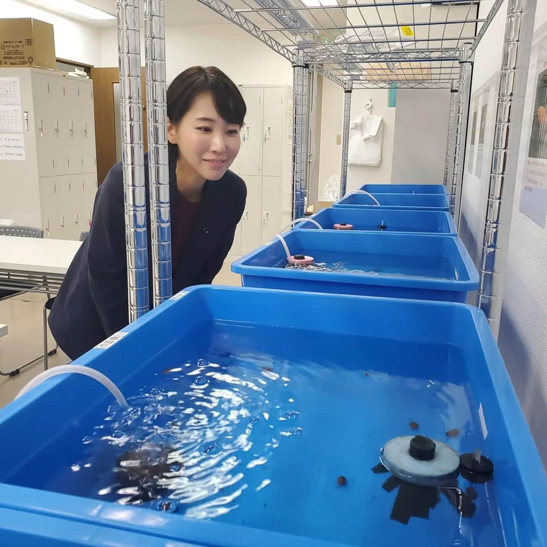 水野友貴さんのインスタグラム写真 - (水野友貴Instagram)「県議会の本会議を終えて、我孫子へ戻り、我が家のご近所にできた就労継続支援B型事業所【ANELA我孫子】さんへ。 にんにく水耕栽培とメダカの飼育・販売をしており、にんにくは我孫子市役所やわくわく広場で販売されています☺️ 障がいや体調に合わせてご自分のペースで働くことができます。 障害福祉サービスを通じて作られたニンニク🧄をひとりでも多くの方に知っていただきたいです。こちら、生でも塩をつけても、素揚げしても、食べられて、ニオイが少ないのが特徴。 早速いただきます🍴🙏  こちらのにんにくを取り扱ってくださるお店など募集中です！  #にんにく #ニンニク #メダカ #メダカ飼育  #就労継続支援b型 #障害福祉サービス  #我孫子市 #我孫子  #千葉県議会議員 #水野ゆうき」9月25日 17時57分 - mizunoyuuki