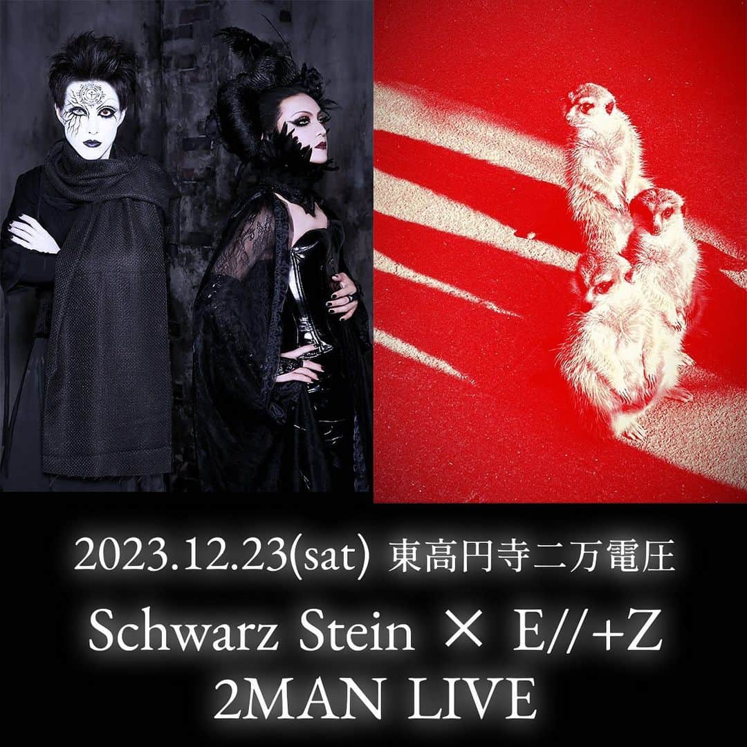 Kayaのインスタグラム：「『Schwarz Stein × E//+Z 2MAN LIVE』 日程：12月23日(土) 会場：東高円寺二万電圧 出演：Schwarz Stein、E//+Z 開場：17:00 開演：17:30 前売：5,500円(Dr代別途) 当日：6,000円(Dr代別途) https://tiget.net/events/272763 ●予約開始：2023年10月15日(日)正午 ●予約終了：2023年12月22日(金)18:00 ＊お一人様2枚まで ＊それ以前に予定枚数に達した場合予約終了となります ●入場順：1. TIGET 2.当日券（各整理番号順） ＊整理番号順のご入場になります ＊キャンセルの場合必ず下記問い合わせまでメールにてご連絡ください ＊ご連絡なくキャンセルされますと今後すべてのご予約をお断りする場合がございます 主催：トロイメライ株式会社  #Kaya」