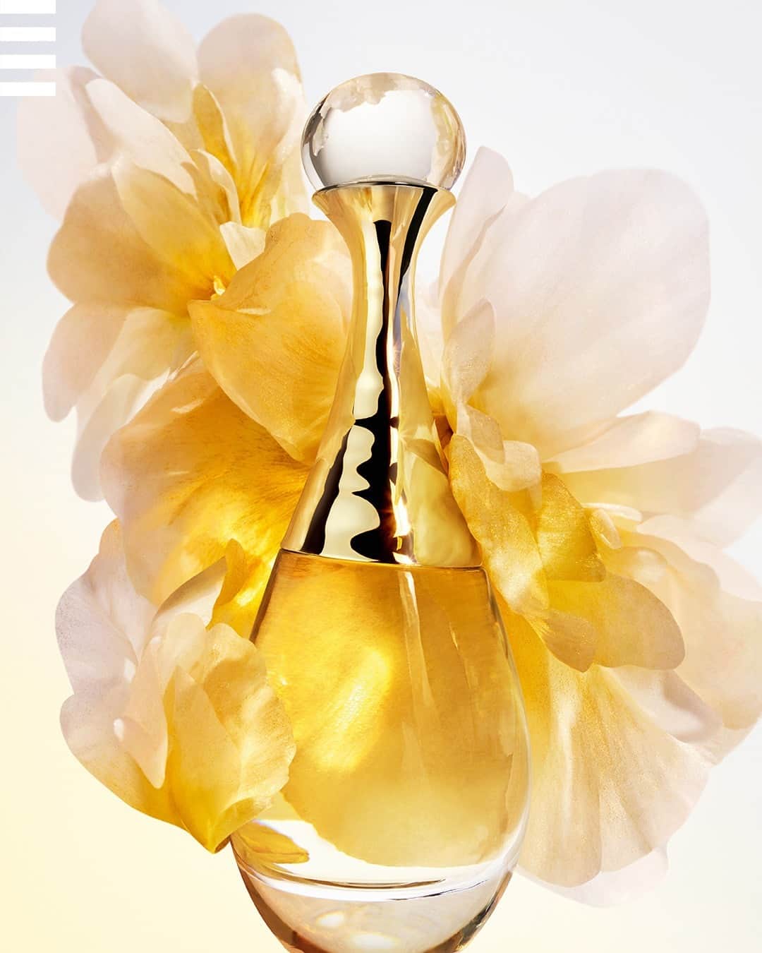セフォラさんのインスタグラム写真 - (セフォラInstagram)「" Le parfum est très puissant. Il peut révéler au monde plus précisément qui nous sommes." ⁣ ⁣ Charlize Theron s’exprime sans filtre et explique magnifiquement comment un parfum peut avoir une signification profonde.⁣ ⁣ #SephoraFrance #Fragrance #DiorBeauty #DiorParfums #JadoreDior #FlowersAreGold⁣」9月25日 16時33分 - sephorafrance