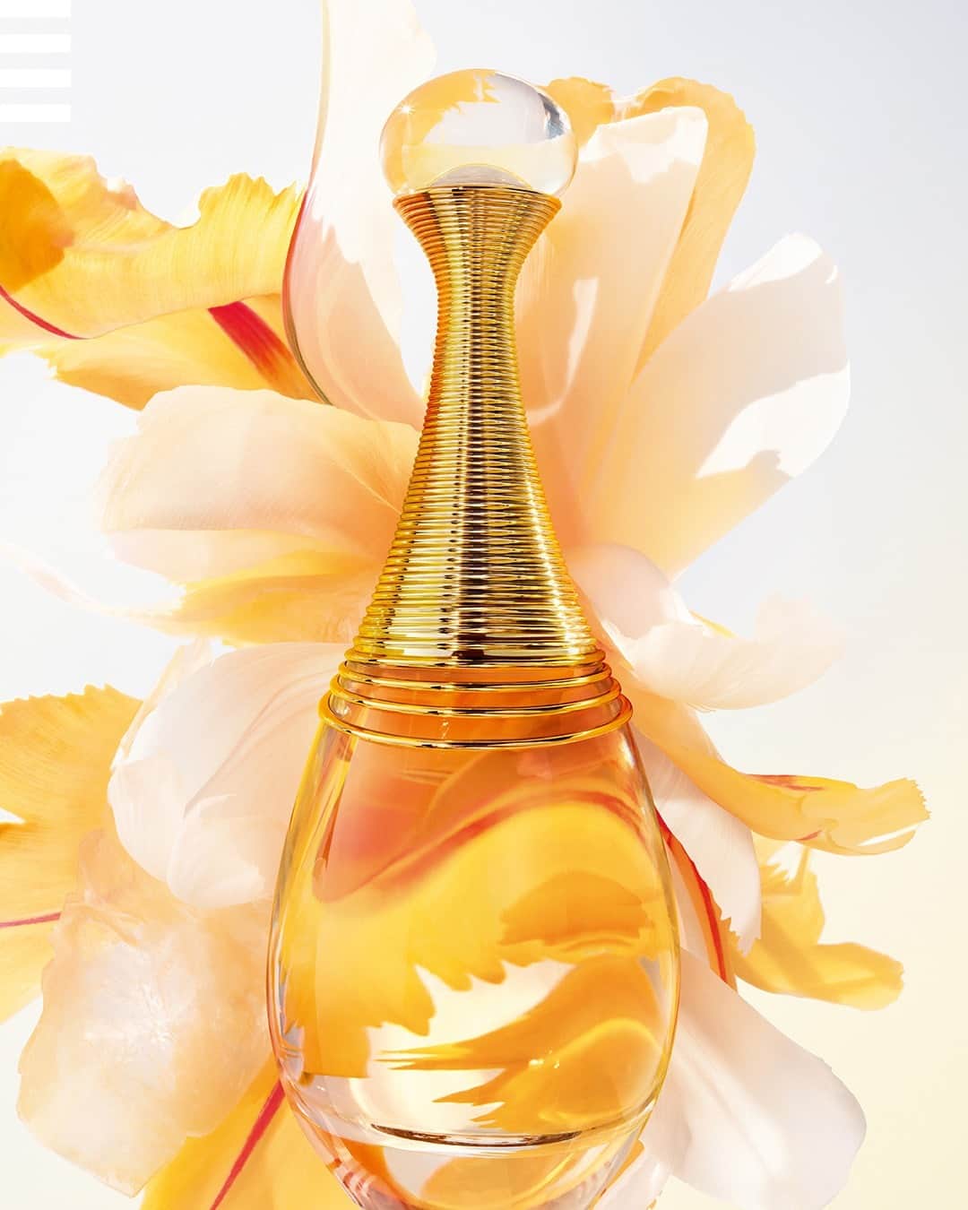 セフォラさんのインスタグラム写真 - (セフォラInstagram)「" Le parfum est très puissant. Il peut révéler au monde plus précisément qui nous sommes." ⁣ ⁣ Charlize Theron s’exprime sans filtre et explique magnifiquement comment un parfum peut avoir une signification profonde.⁣ ⁣ #SephoraFrance #Fragrance #DiorBeauty #DiorParfums #JadoreDior #FlowersAreGold⁣」9月25日 16時33分 - sephorafrance