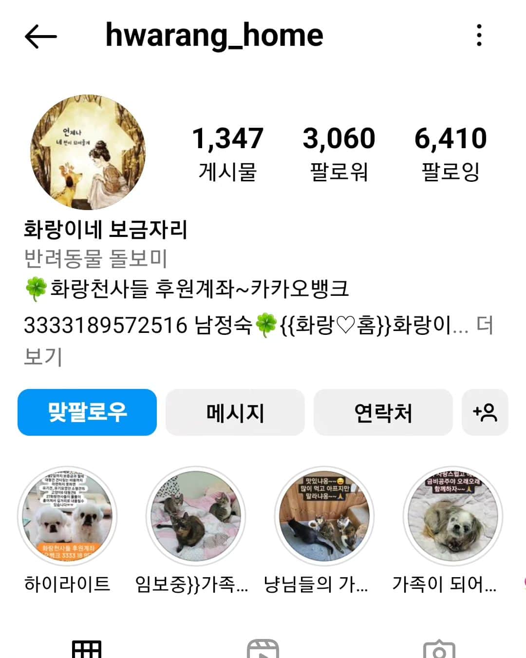 イ・スンヨンのインスタグラム：「화랑이네가  많은분들이 도움 주시고 계시지만  10월2일까지 300만원정도 더 모금되어야할 상황이라서요   조금만더 우리가 힘을모아 화랑이네가 흩어지지않고 함께 살수있도록 도우면 어떨까요   작지만 3만원이상 후원하신 마고식구들중 인증남겨주시면 적립금만원 남겨드릴께요~~  좋은일도 하고 적립금도 생기고  우리 한마음으로 조금만 더 힘내봐요~~^^  마고식구들중에  강아지 고양이 좋아하하시는분들 마음모아보십시닷~~!!!  화랑이네가 @hwarang_home  따뜻한 추석을 만들수 있도록 힘내보아요 우리~~!!!♡♡♡♡  #화랑이네 #힘과마음을모아서 #작지만열심히」