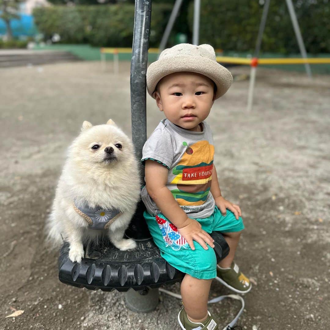 やしろ優のインスタグラム：「こはなとやさ丸  2人は仲良し？ライバル？  #やさ丸1歳8ヶ月 #こはな5歳」