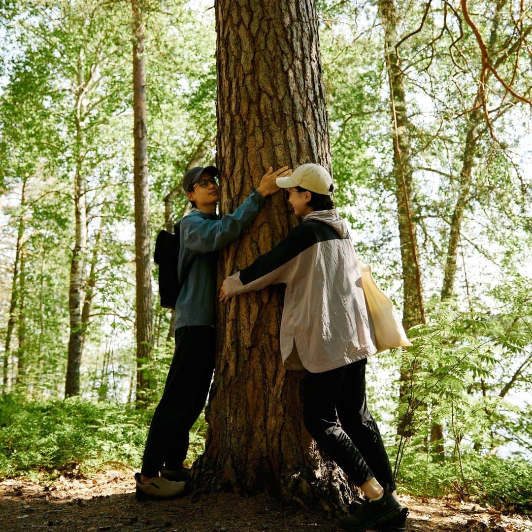 フィンランド政府観光局のインスタグラム：「🍃Masterclass of Happinessのオンラインコース、もうやってみましたか？  🍃最初のレッスンは、自然とライフスタイルのパート1。コーチのPetriさんと一緒に、自然との結びつきを持つこと、日常生活とウェルビーイングの一部にその結びつきを取り入れることを学びます。  🍃レッスンが終わったら早速自然のあるところに出かけてみましょう。  🍃コースは無料です。  オンラインコースはプロフィールのリンクから。」
