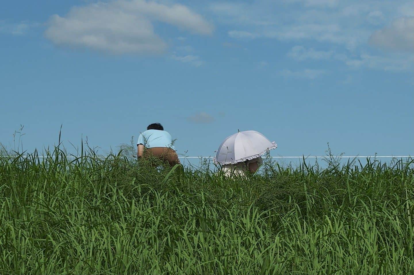 高野寛のインスタグラム：「ある晴れた日に #sigmafpl」