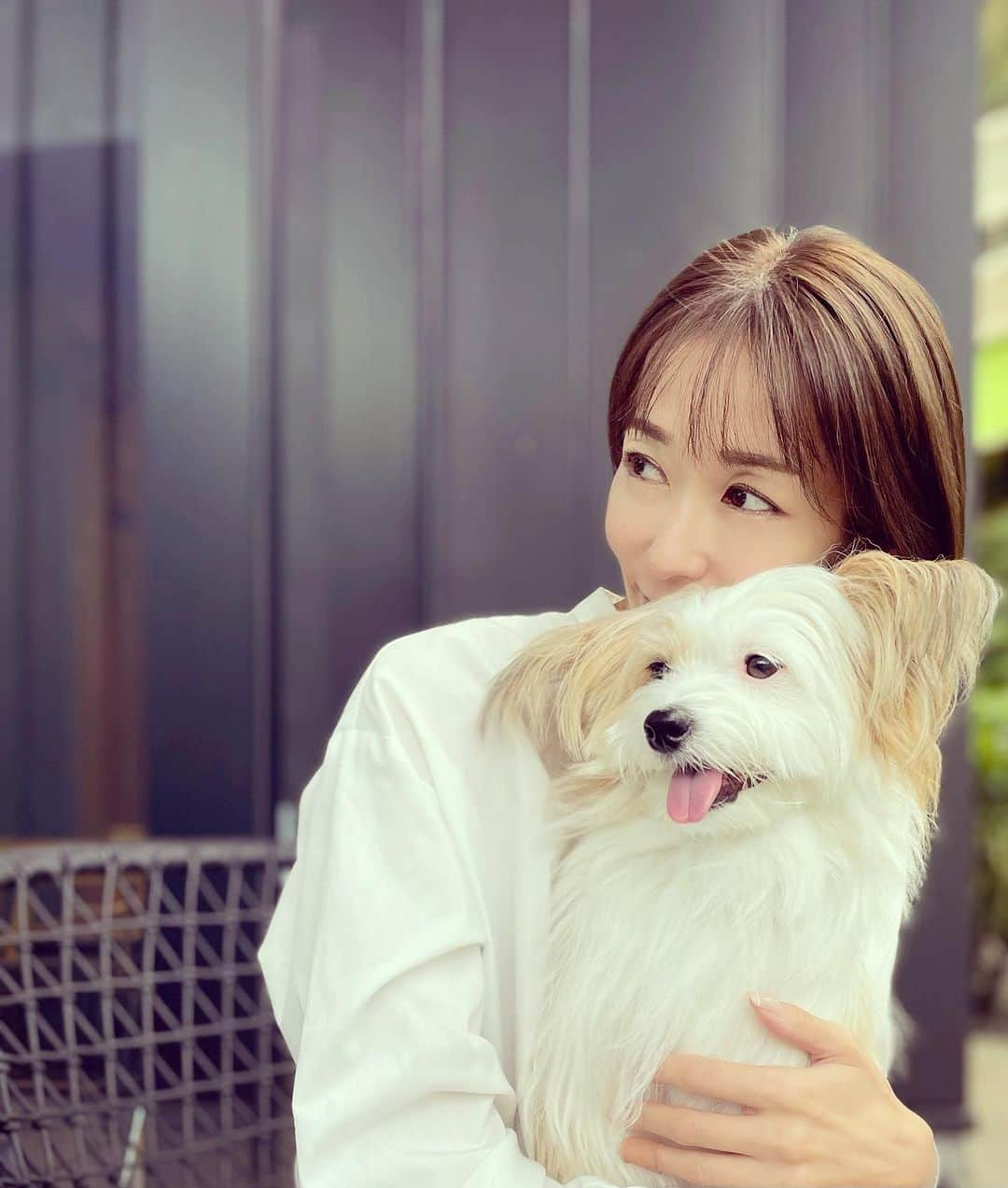 大河内奈々子のインスタグラム：「. . With Tuffy🐶  #大河内奈々子  #nanakoohkouchi #dogsofinstagram」