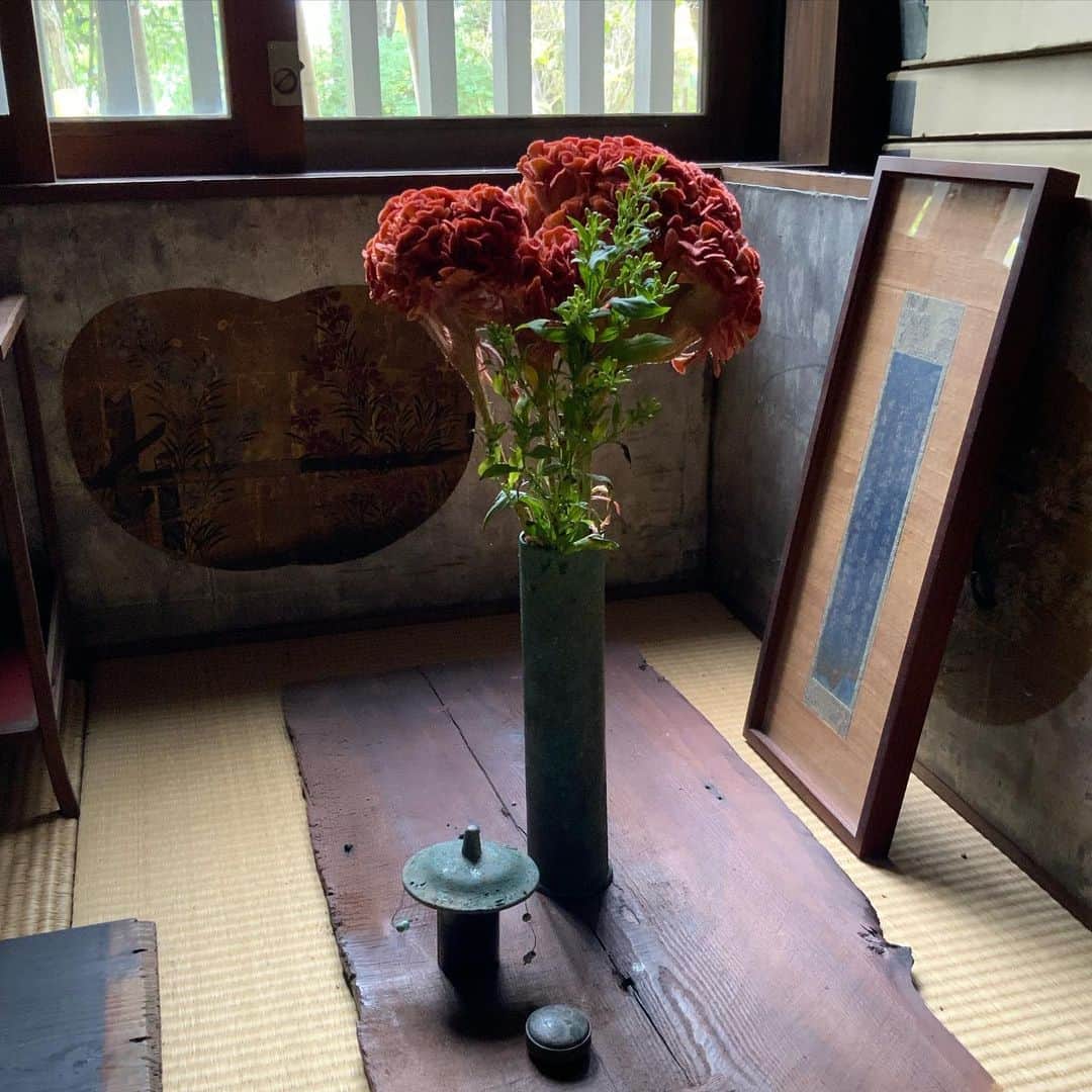 ヒロミチナカノのインスタグラム：「平安時代..の経筒(蓋にビーズ❓の飾りが付いている)に鶏頭と秋の麒麟草を入れました。 #flowers」