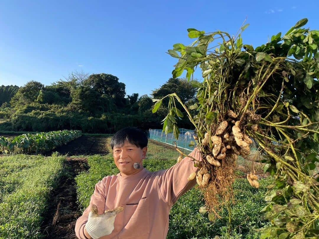 依田司さんのインスタグラム写真 - (依田司Instagram)「9月25日（月） 夏休み明け第一段は、千葉県長柄町の農園から。こちらでは「おおまさりネオ」という品種の落花生が収穫の時期を迎えています。従来のジャンボ落花生「おおまさり」を改良し、より進化させて作られたもの。大きさは一般的な品種の落花生の２倍ほどで、塩茹でして食べるのがおススメ。ホクホクしてほんのり甘い味わいを楽しむことができ、手が止まらなくなります。 農園では収穫体験も行われていて、現在は落花生のほかにもサツマイモやナスなどの農作物を収穫することができます。 朝早くから農園の皆さんにお世話になりました。町長さんも駆けつけてくださいました。  #おおまさりネオ #千葉県長柄町 #依田さん #依田司 #お天気検定 #テレビ朝日 #グッドモーニング #気象予報士 #お天気キャスター #森林インストラクター #グリーンセイバーアドバンス #プロジェクトワイルド #IPCC伝導者 #japan #japantrip #japantravel #unknownjapan #japanAdventure #japanlife #lifeinjapan #instagramjapan #instajapan #療癒 #ilovejapan #weather #weathercaster #weatherforecast」9月25日 9時10分 - tsukasa_yoda