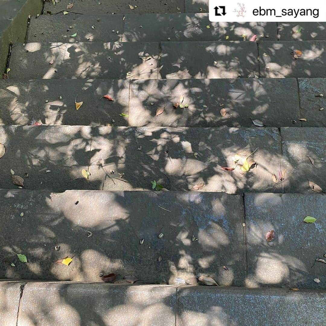 堤信子さんのインスタグラム写真 - (堤信子Instagram)「#Repost @ebm_sayang with @use.repost ・・・ こんにちは☀️ 今週もフリーアナウンサー堤信子さん @nobnob1111 のミニエッセイ「あなたの心地良さを作る習慣」をお届けします♪  習慣101. 秋のお彼岸に心がけると良いこと  和菓子屋さんに並ぶおはぎを見て、ああ、お彼岸の季節だと感じる方も多いと思います。 ２０２３年は、9月23日土曜日が秋分の日、20日から26日が秋のお彼岸となります。  お彼岸の期間は７日間。調べてみると７日間には意味があり、中日はご先祖様を偲ぶ日で、それ以外の６日間で、６つの修行を行うことから決められたとのこと。  ６つの修行とは、「親切」「言行一致」「忍耐」「努力」「反省」「修養」です。  お彼岸に、お墓参りをする、お仏壇をきれいにすることは一般的ですが、６つの修行を毎日一つづつ行う修行期間でもあるということはあまり知られていませんよね。  修行というと難しく聞こえますが、ご先祖様に感謝しながら、素直に自分を見つめ直す期間がお彼岸ということなんでしょうね。   秋のお彼岸を過ぎると、今年も残すところ３ヶ月とちょっと。心のリセットで夏の疲れを癒し、豊穣の秋を迎えたいものです。 #ebm #ebmさやん #イービーエム #さやん #堤信子 #feelincafe #あなたの心地良さを作る習慣 #エッセイ #週末の過ごし方 #秋のお彼岸 #おはぎ #親切 #言行一致 #忍耐 #努力 #反省 #修養 #修行期間 #心のリセット #豊穣の秋」9月25日 9時24分 - nobnob1111