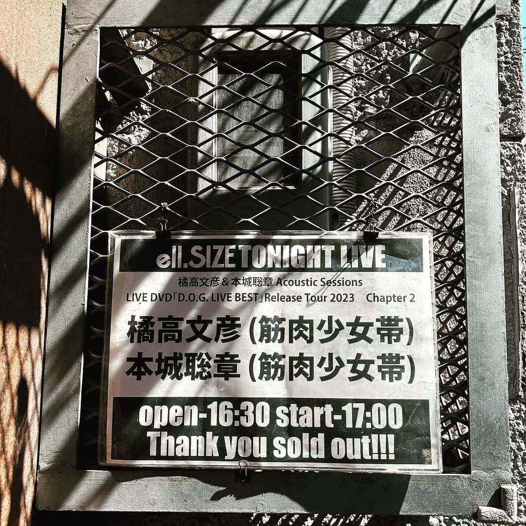 本城聡章のインスタグラム：「昨夜は #名古屋 で弾き語り🎸🎙ご来場ありがとうございました🐲楽し過ぎました！改めて…愛知強化月間最高でした！これからもどーぞよろしく😉  さ〜帰ってF1観るぞ（笑）🏁  #ThankYou #Nagoya #ellsize #electricladyland #橘高文彦 #FumihikoKitsutaka  #本城聡章 #ToshiakiHonjo  #DreamOnGuitars #FumihikoKitsutakaToshiakiHonjoAcousticSessions #弾き語り #筋肉少女帯 #筋少 #KingShow #Daddario #ダダリオ #kyoritsucorporation #Takamine #タカミネ #expro #iPicks #MusicWorks #zoom」