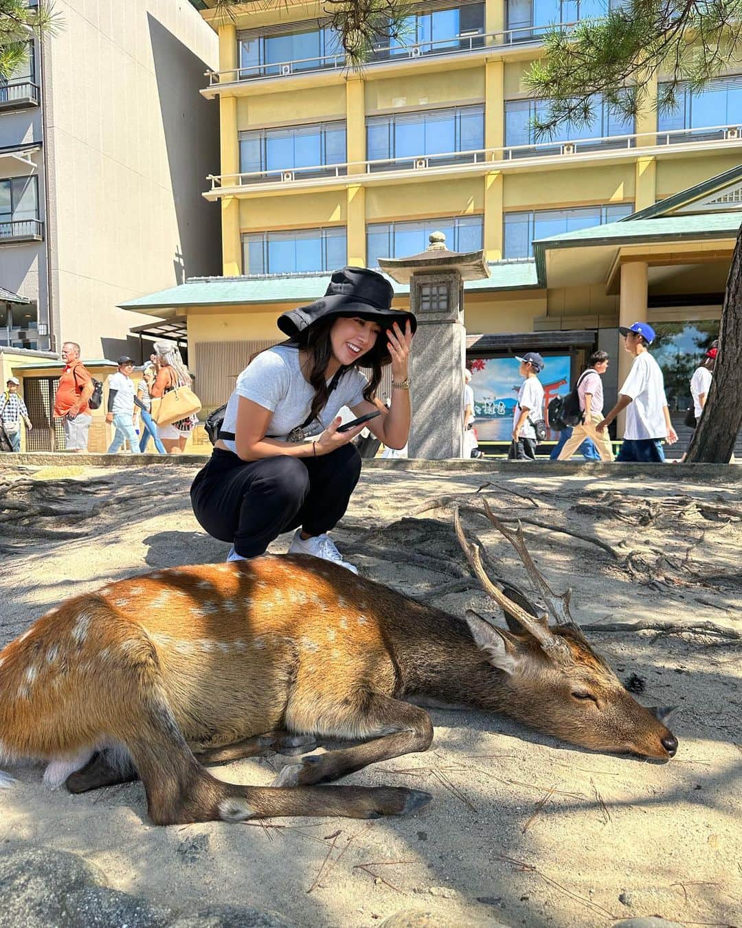 加賀其真美のインスタグラム：「厳島神社の鹿🦌 こんなに近くで見れたのはじめて🥹✨ ばり可愛かった😍❤️ ちょっとこわかったけど、ちょん👆て触れた😚😚😚 なんで動物ってこんなに可愛いっちゃろー😘 元気でねー🦌⭐️ ． ． ． #動物好き#厳島神社#広島#鹿」