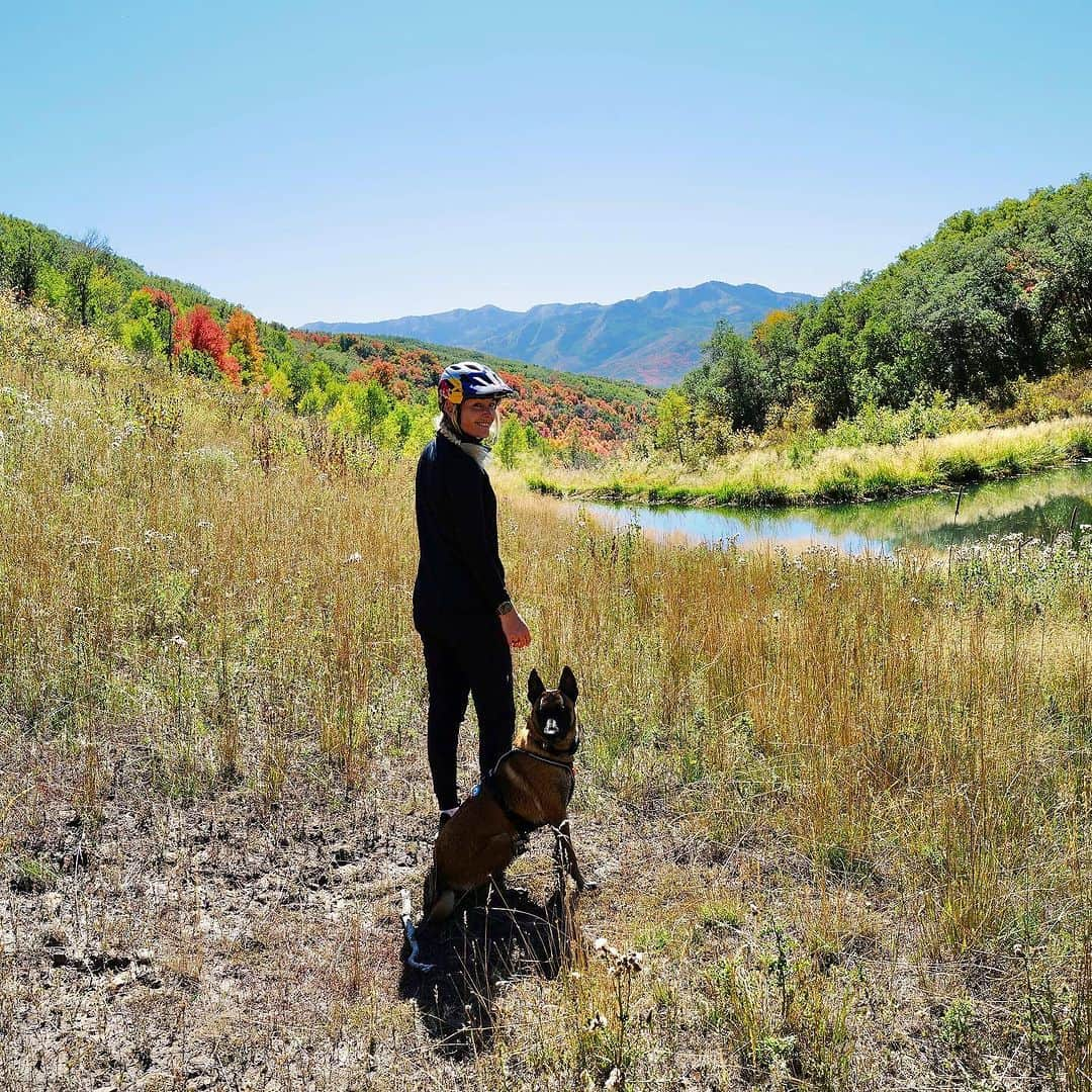 リンゼイ・ボンのインスタグラム：「Thankful for the mountains and everything that comes with them 🧡🍁🦌🐕   #autumnvibes🍁 #mountainadventures  #elk」