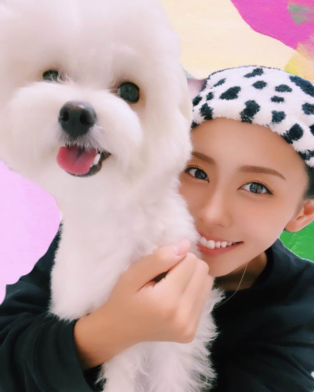 山川 二千翔のインスタグラム：「最近寒くなってきたね😰 エアコン終了🍃 友達のイッヌ5日間くらい預かってて可愛すぎた〜 居ないと寂しくなるくらいいい子🐶 またいつでも来てね〜^ ^  #秋の訪れ」
