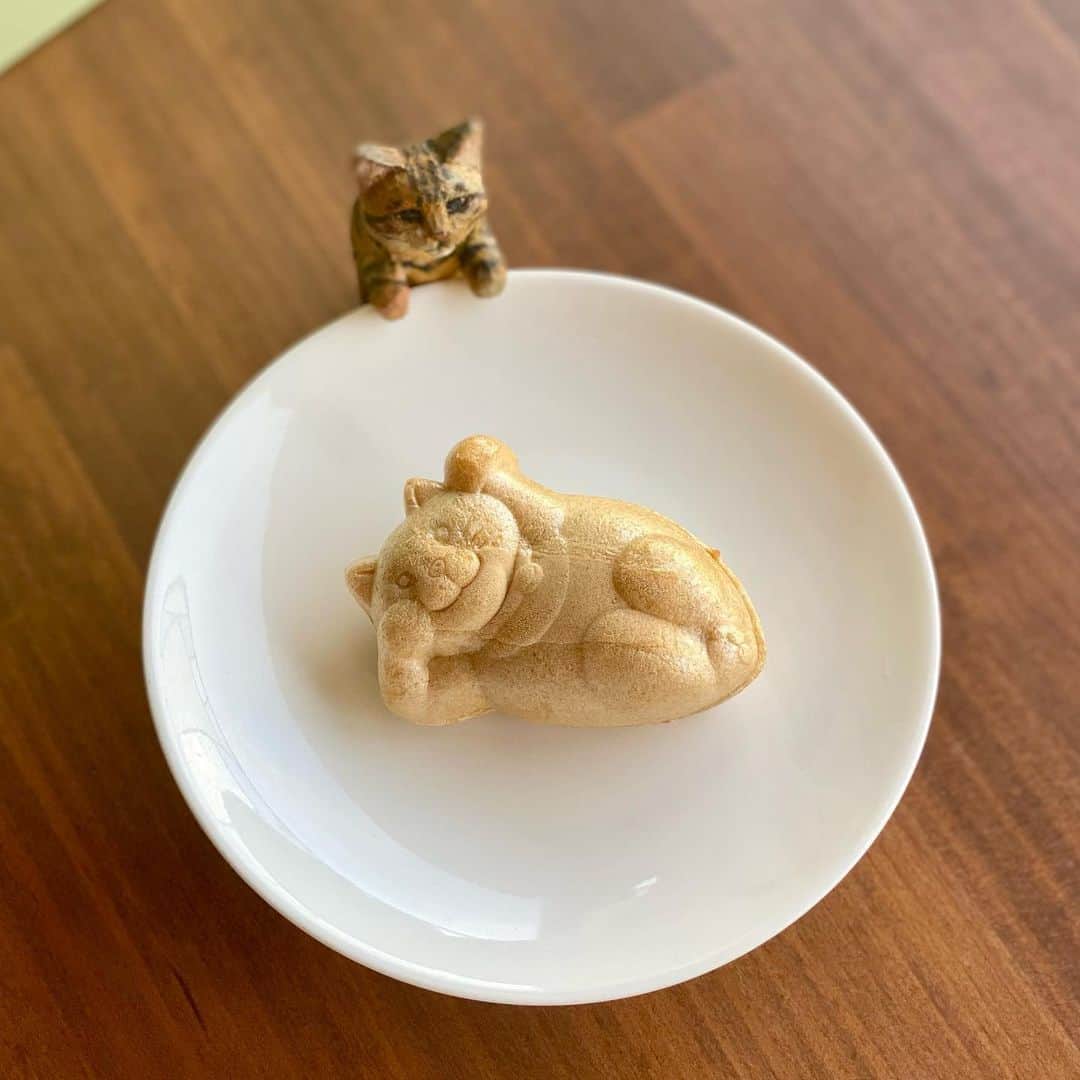 のインスタグラム：「陽気な猫モナカがたくさん！！ たらふくいただいて制作がんばります。  #たらふくもなか  #cat #sculpture #hanafusasakura」