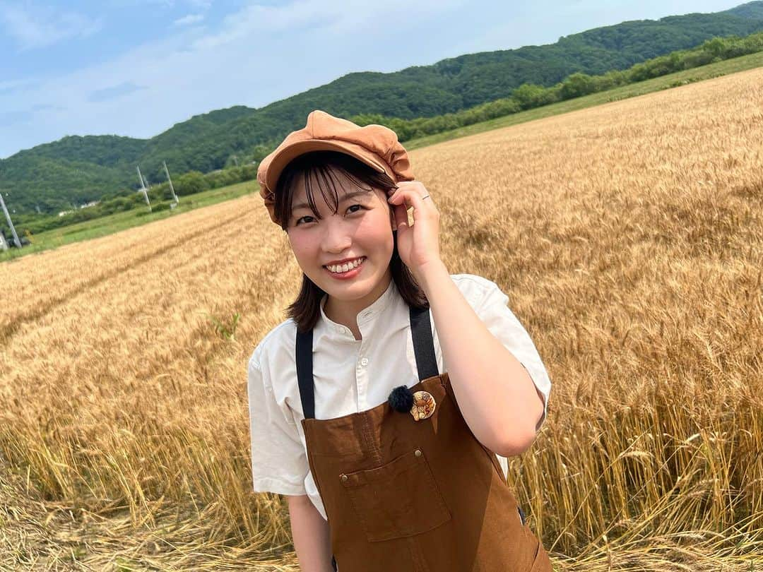 北海道テレビ「イチオシ！モーニング」さんのインスタグラム写真 - (北海道テレビ「イチオシ！モーニング」Instagram)「あす26日（火）#イチモニ ！特集は 「みんなで育てるパンプロジェクト」#4 ついにパンとスイーツが完成❗️🍞🍰 #北海道日本ハムファイターズ  #松本剛選手 #清宮幸太郎選手  にお墨付きはいただけるのか⁉️  6時35分ごろ&7時30分ごろから 放送です☑  #室岡里美 #ローソン」9月25日 10時40分 - htb_ichimoni