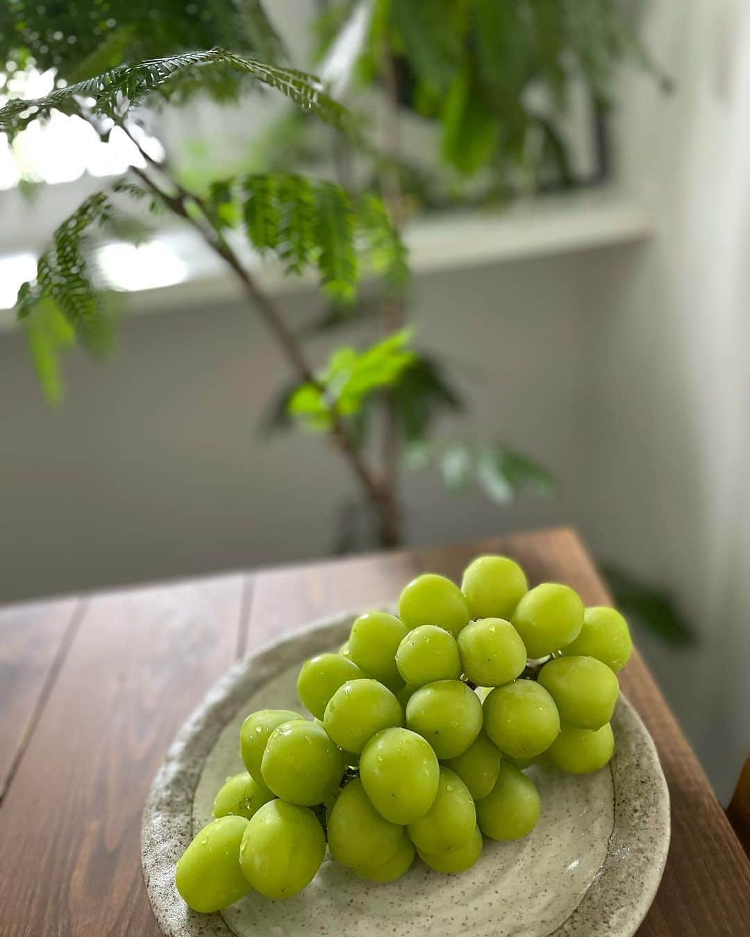 悠木ゆうかのインスタグラム：「秋は美味しいものが多い🍇💜  #シャインマスカット」