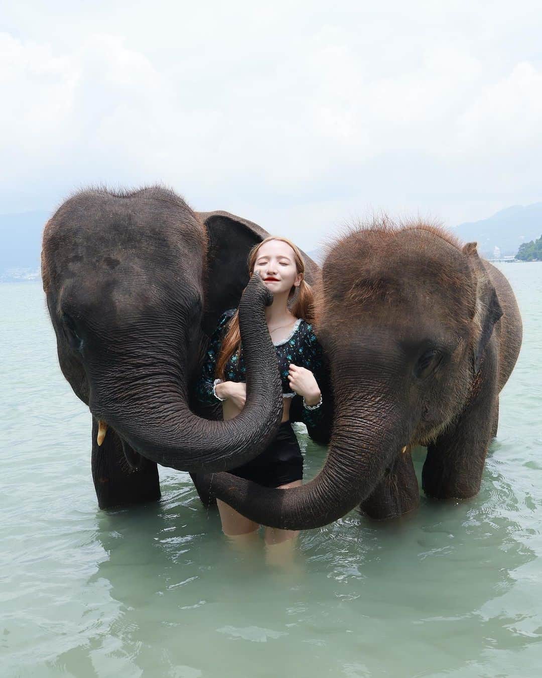 平木愛美さんのインスタグラム写真 - (平木愛美Instagram)「🐘✨💫🪐 thank you gentle elephants!!  優しい象さんたち。心からありがとう！！！ ２枚目はほっぺにkiss、、いやわたし、たべられてる？！？笑 とっても賢い象さん達と一緒に海に入って戯れさせてもらって私にとっても、べびまるにとっても、貴重な経験に。💕 in Thailand 🇹🇭  そしてやっぱり大好きな"海" 出国するまでずっと心がすこしギリギリだったけれど、大きな自然に、海に、砂浜に、波の音に。 癒された時間になりました。 Thank the Earth .🪽  そんな海や、日差しで早速色が抜けてしまっているけれど… new hair 💛🌼 タイ前に勢いもあり！？ハイトーンカラーに！！！！！ もうすこしハイトーン楽しみます。💗 in allys shibuya @morikawa_george  thank you!!!✨」9月25日 12時05分 - manamihiraki