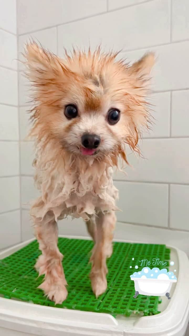 r_oseのインスタグラム：「Happy dance🛁🧼 #bathtime #happyfeet」