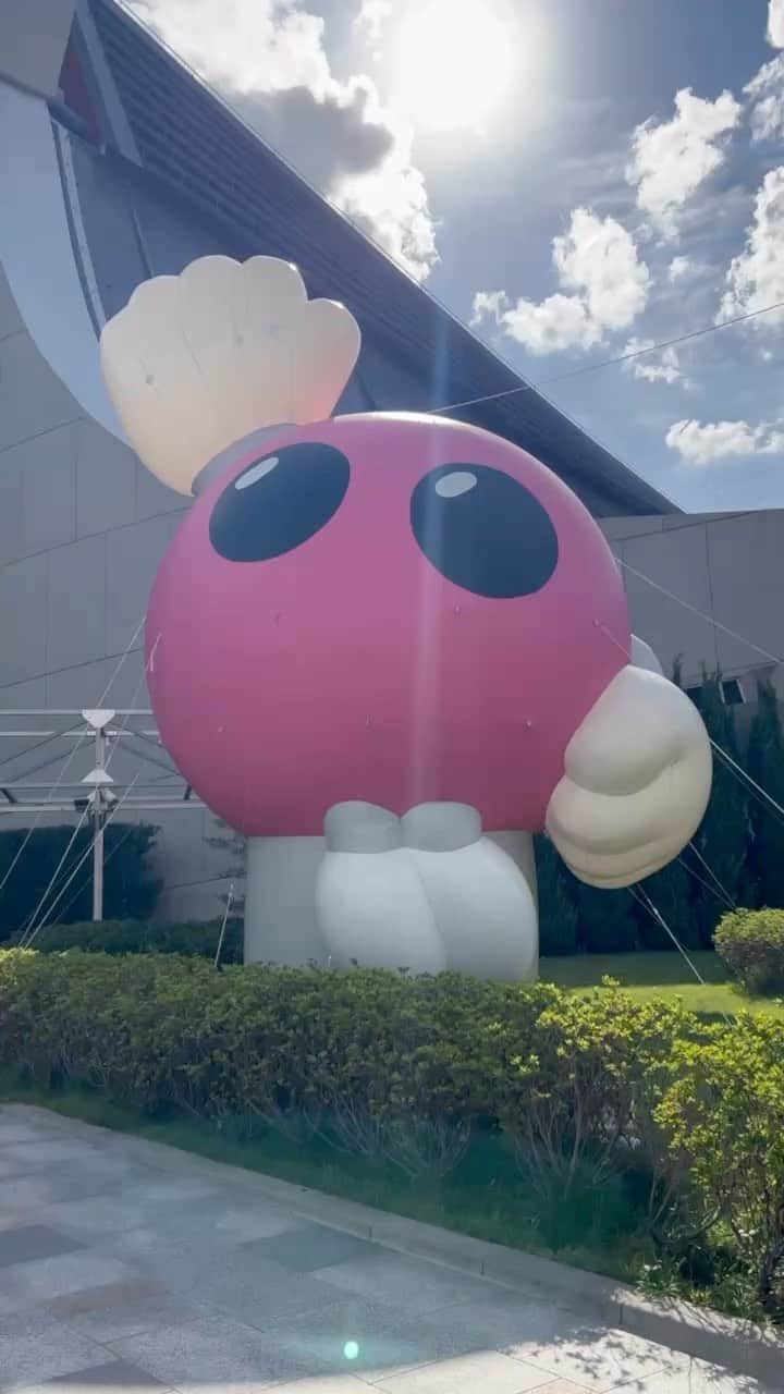 迫田さおりのインスタグラム：「・ パリオリンピックの出場権は手にすることは出来ませんでしたが、火の鳥NIPPONの最後まで戦い抜く姿に刺激をいただきました。 ・ そして、会場が一体感になった瞬間忘れられません。 やっぱりバレーボールっていいなって改めて感じました！ ・ 選手の皆さんスタッフの皆さん、本当にお疲れ様でした。 ・ 9月３０日からは男子大会です‼︎ 引き続き応援よろしくお願いいたします‼︎ ・ ・」