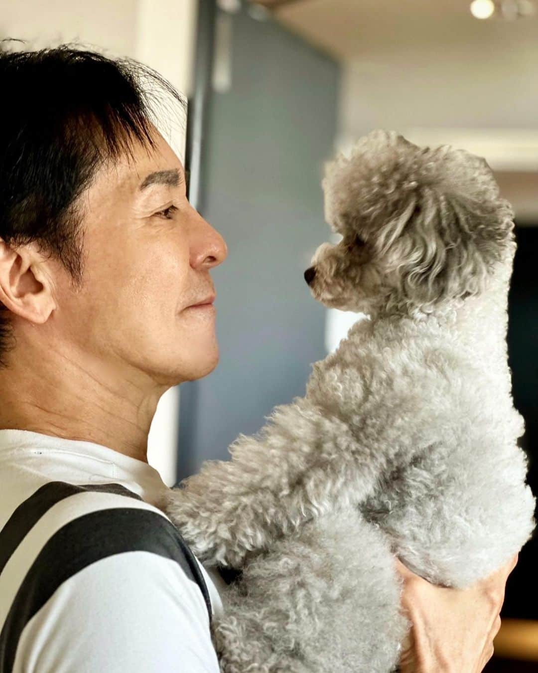 郷ひろみのインスタグラム：「久しぶりのつぼみちゃん🐾 ツアーの合間に会えると、なおさら可愛くてたまらないんだよねぇ。  My beloved dog whose name is Tsubomi-chan is comfort me between the concerts.  #郷ひろみ#hiromigo#タイニープードル」