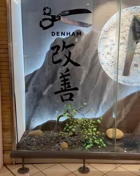 デンハムのインスタグラム