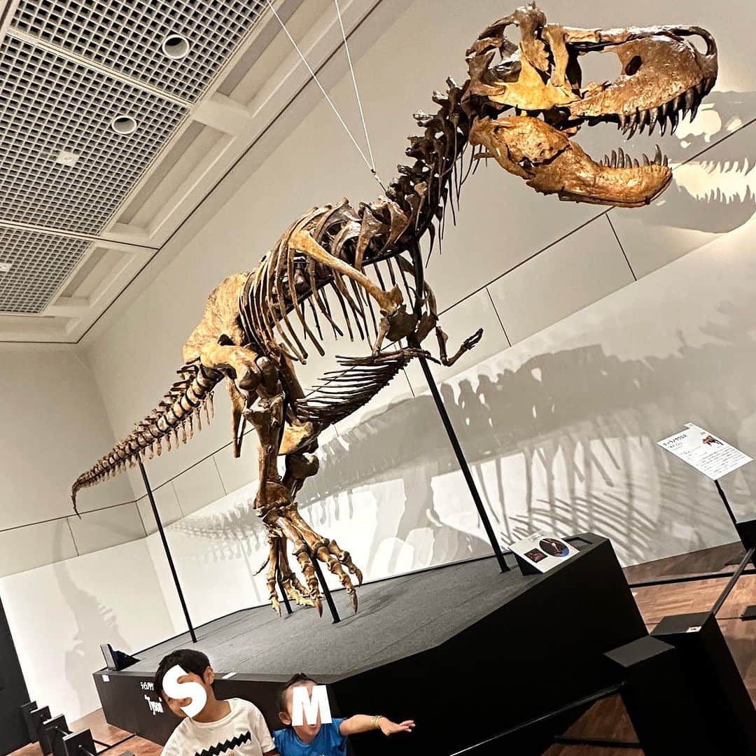 澤野井香里さんのインスタグラム写真 - (澤野井香里Instagram)「Sの行きたがってた#恐竜博2023 🦖 in #大阪自然史博物館  へ✨ @dinoexpo2023   日本初上陸❣️の鎧竜屈指の完全度のズール🦕の 全身実物化石を目の前で見れて、レプリカではなく本物の化石は想像力が掻き立てられて感動する♡  トゲトゲ恐竜のズール、ティラノサウルスもかっこいい😎  音声ガイドも何度も聞いて化石ロマンに浸ってるS😂  ちょうど大阪メトロ🚇で福井の恐竜博物館コラボのスタンプラリーもしていたの🤭 （ラリーまでする気力なくて1箇所しかおせてないけどw）  迫力満点だったー＾＾  #ks_23✨ #ks_osaka✨ #大阪 #長居 #恐竜博 #こどもとおでかけ #男の子ママ #女の子ママ #ママライフ #ママリ #コドモノ  #7歳 #4歳 #👦🏻👧🏻 #S⭐️_ #M🍒_  #s⭐️m🍒 #」9月25日 13時58分 - kaori_sawanoi