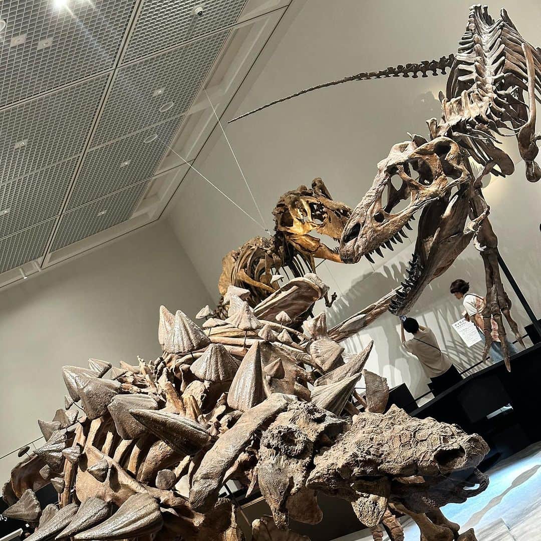 澤野井香里さんのインスタグラム写真 - (澤野井香里Instagram)「Sの行きたがってた#恐竜博2023 🦖 in #大阪自然史博物館  へ✨ @dinoexpo2023   日本初上陸❣️の鎧竜屈指の完全度のズール🦕の 全身実物化石を目の前で見れて、レプリカではなく本物の化石は想像力が掻き立てられて感動する♡  トゲトゲ恐竜のズール、ティラノサウルスもかっこいい😎  音声ガイドも何度も聞いて化石ロマンに浸ってるS😂  ちょうど大阪メトロ🚇で福井の恐竜博物館コラボのスタンプラリーもしていたの🤭 （ラリーまでする気力なくて1箇所しかおせてないけどw）  迫力満点だったー＾＾  #ks_23✨ #ks_osaka✨ #大阪 #長居 #恐竜博 #こどもとおでかけ #男の子ママ #女の子ママ #ママライフ #ママリ #コドモノ  #7歳 #4歳 #👦🏻👧🏻 #S⭐️_ #M🍒_  #s⭐️m🍒 #」9月25日 13時58分 - kaori_sawanoi