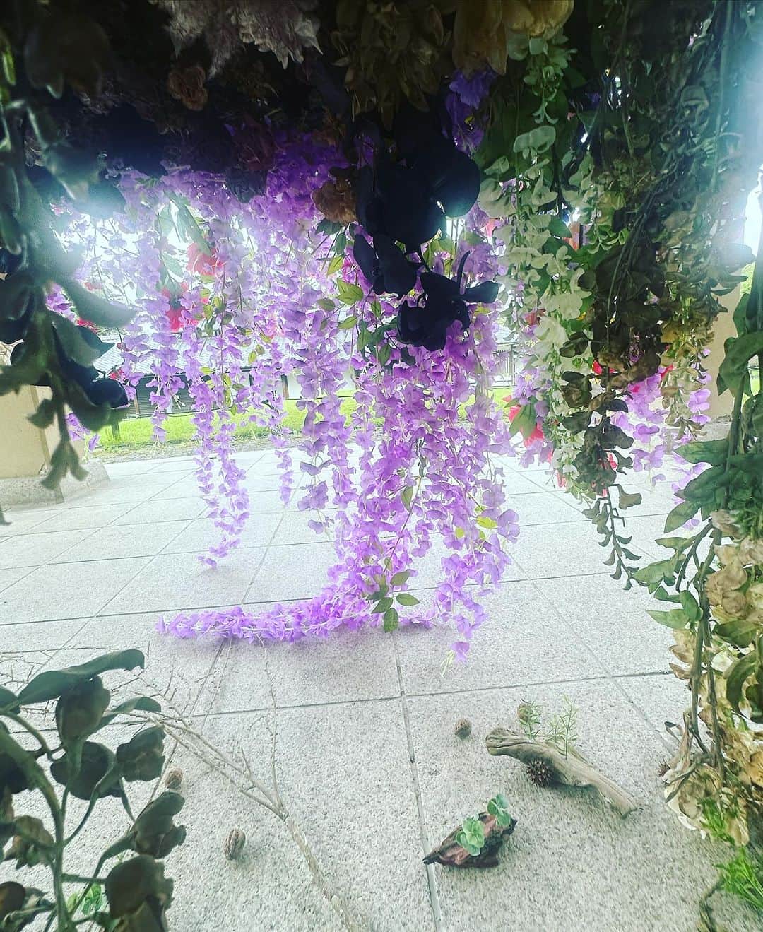 蜷川実花さんのインスタグラム写真 - (蜷川実花Instagram)「京都の醍醐寺の霊宝館の入り口で残照の展示をしています。 巡るいのちを表現している作品なので お寺の敷地での展示はとても素敵でした。 10／7までご覧いただけます。 ぜひ見に行ってみてくださいね。無料ではいれますよー #kyoto #醍醐寺 #mikaninagawaflowers」9月25日 14時31分 - ninagawamika