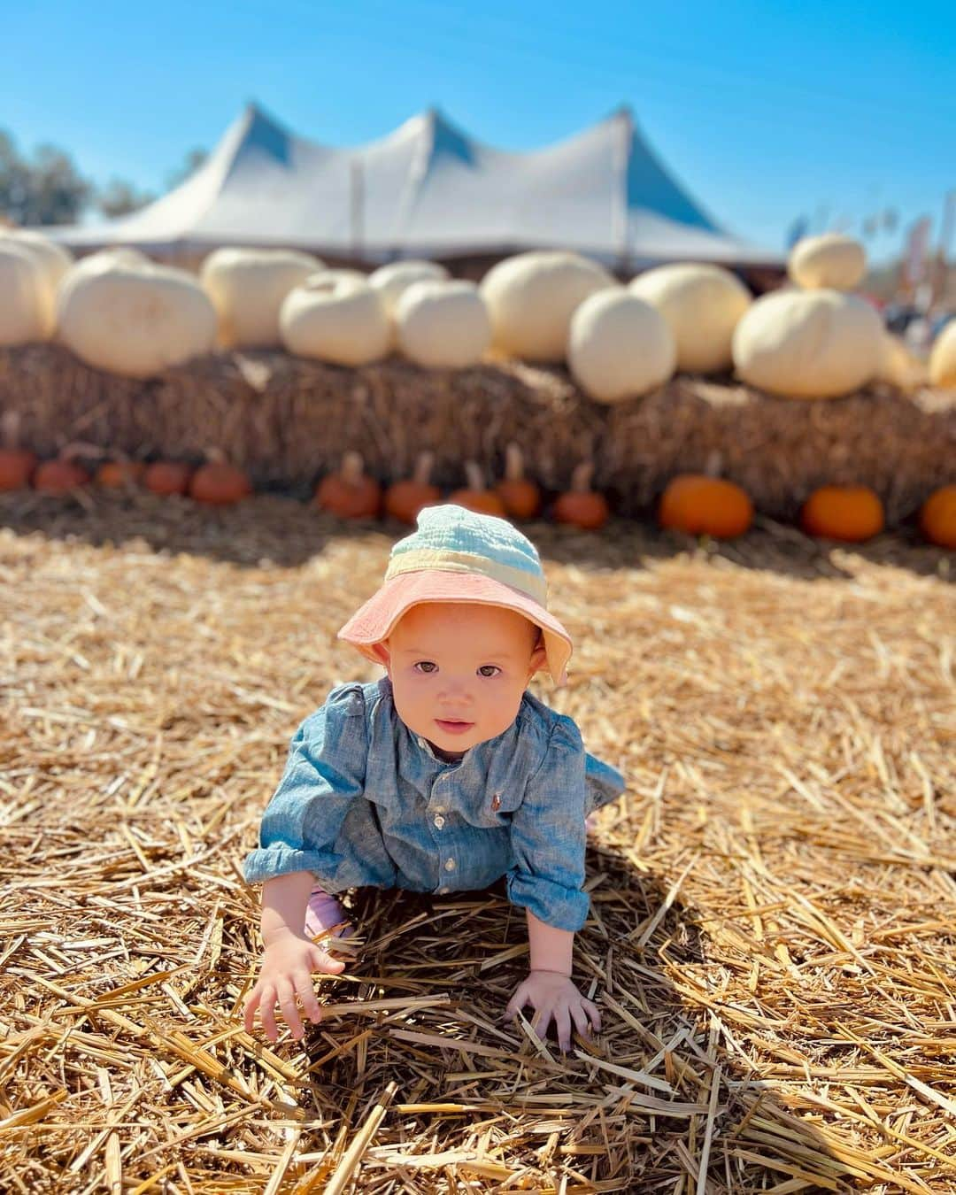 宮崎沙矢加さんのインスタグラム写真 - (宮崎沙矢加Instagram)「Pumpkin Patch 2023 in California🍂🎃🧡🍂🧡🧹 . . . 今年も家族皆んなでパンプキンパッチ🎃に行ってきました 去年はまだミシェルが２ヶ月なってないくらいで、パンプキンよりも小さかったのを思い出す👶🏼🧡 今年は着いた瞬間から色んなところ指さして、ママ！ママ！アレ！とめーちゃくちゃテンション上がってた🤭🫶🏽 そしてここでもハイハイで走り回ってました😅🙌🏽 久しぶりのヤギさん🐐も自分から近づいて行ってよしよししてた。 テディもミシェルも楽しそうで素敵な週末になりました！ 本当ハロウィンの時期のアメリカが好きすぎる🧡🧡🧡 #pumpkinpatch #pumpkinseason #halloween #california #oneyearold」9月25日 14時57分 - sarah___audrey